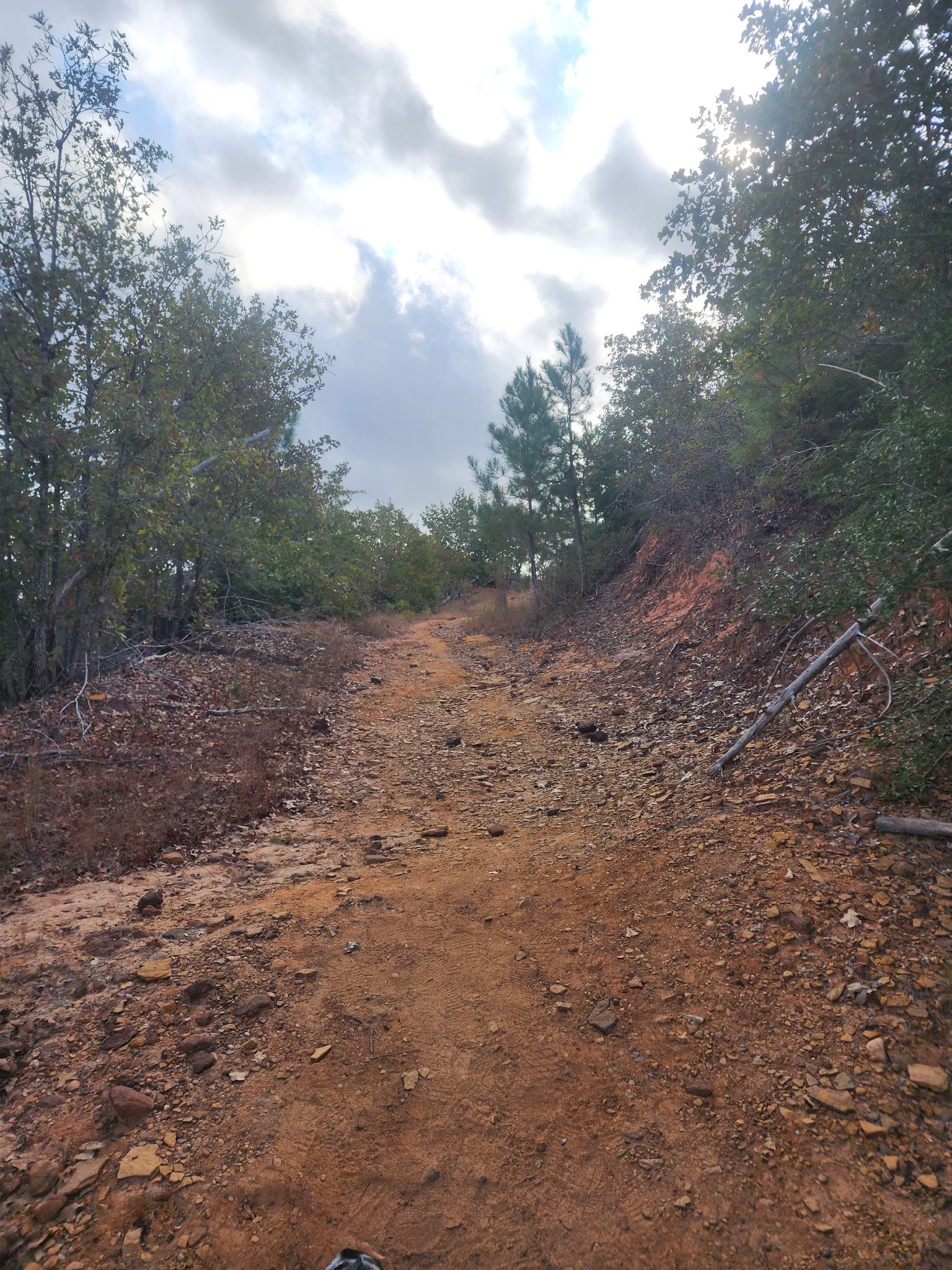 A wide, rocky dirt road ascends a slope, flanked by trees. - Lost Pines Trail