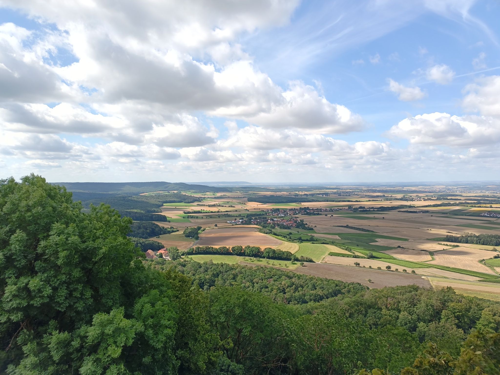 Steigerwald