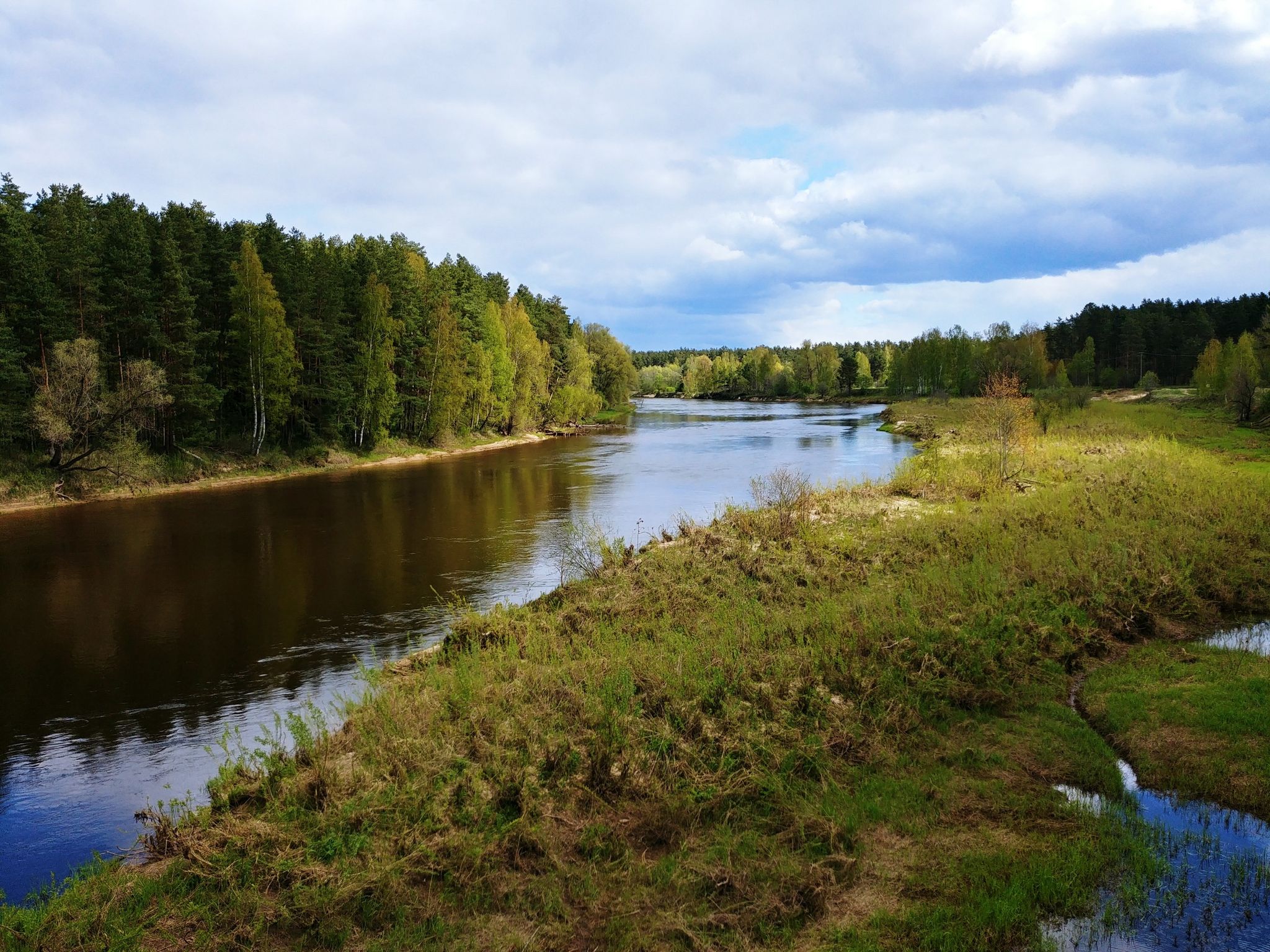 Gauja