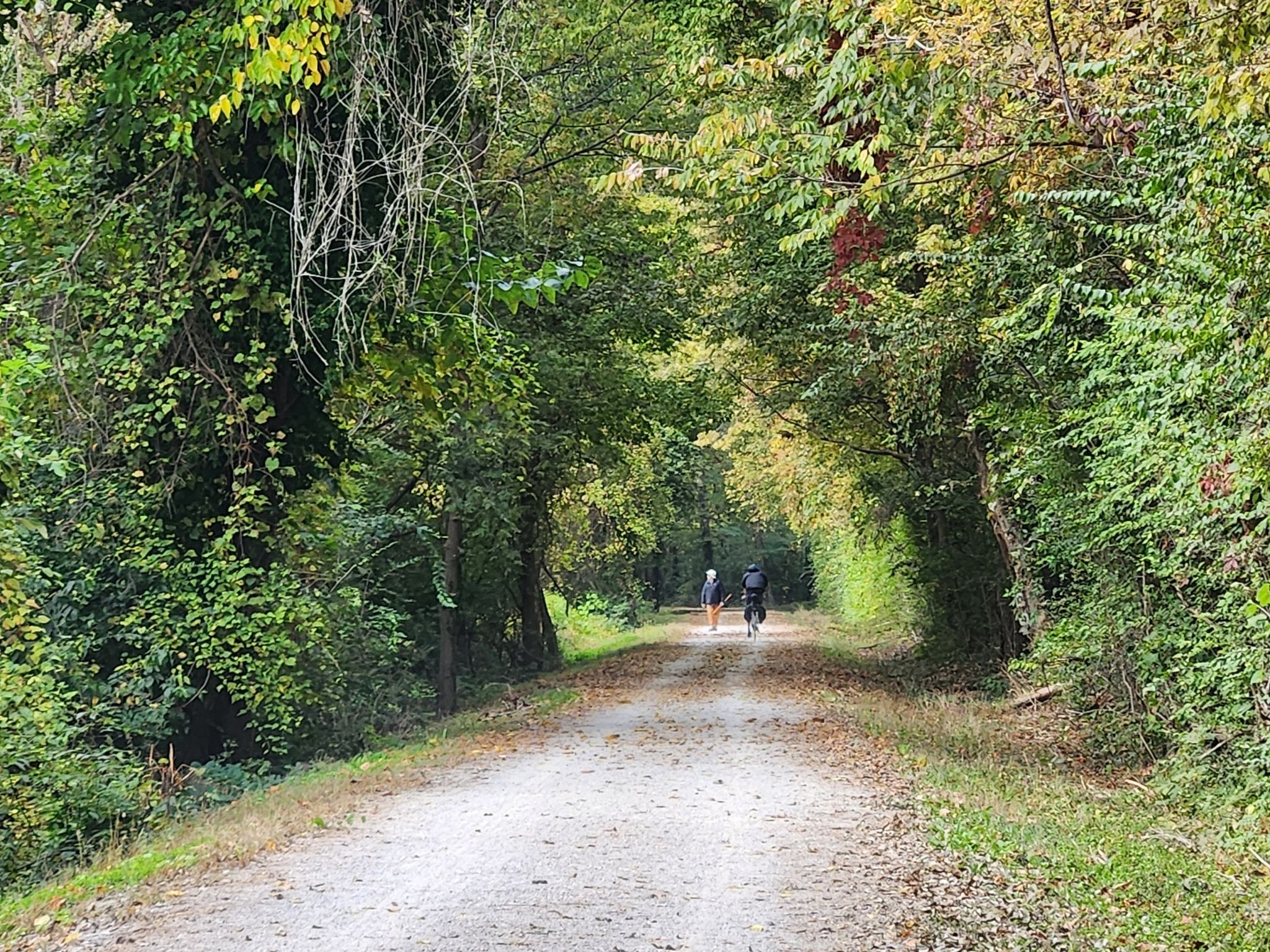 Two people cycle on a tree-lined path with autumn foliage in bright light. - Katy Trail West of St. Charles loop from Harvester