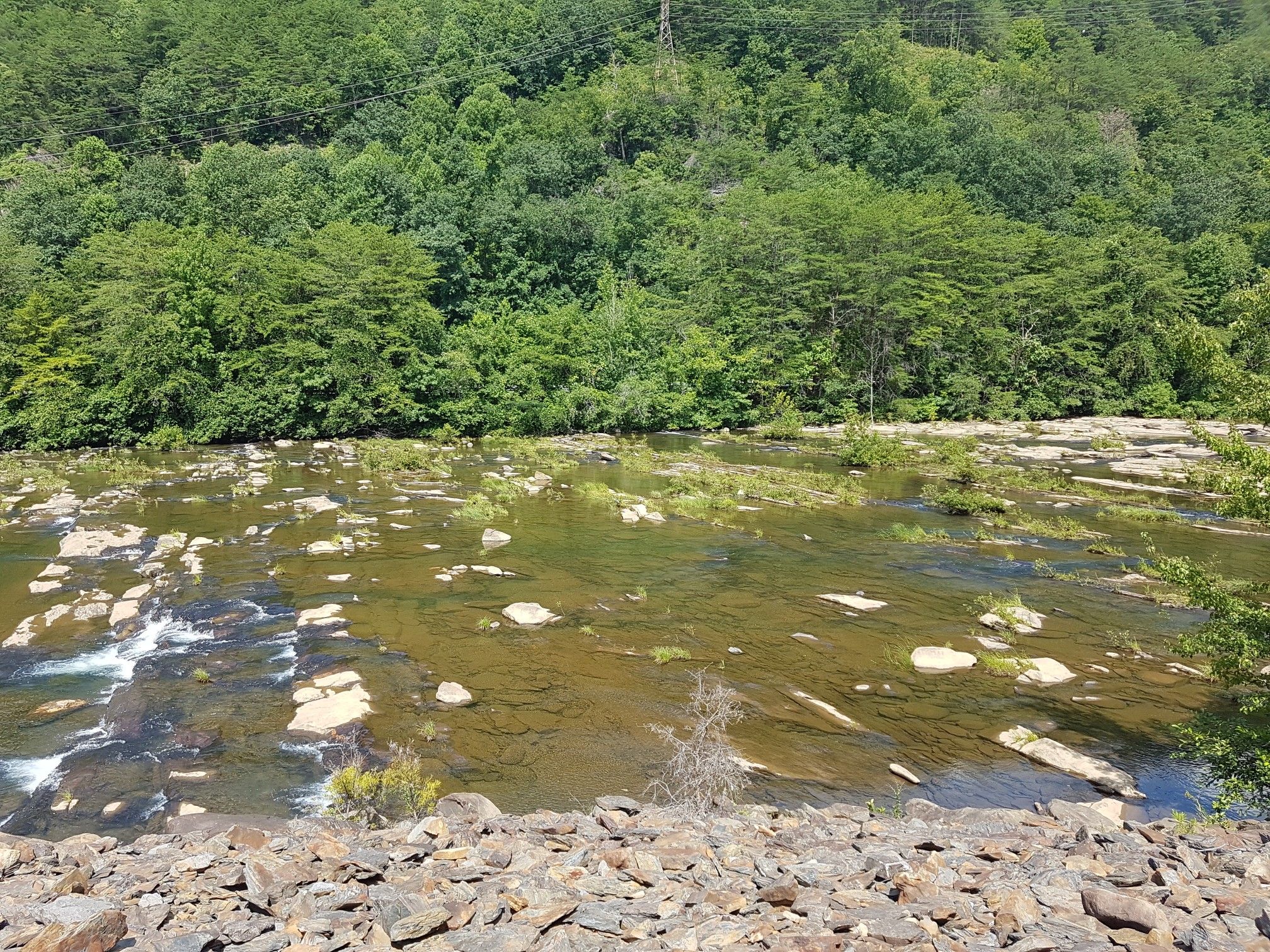 Wide, rocky river with rapids flowing through a dense green forest. - Boardwalk loop from Ocoee Number Three Lake