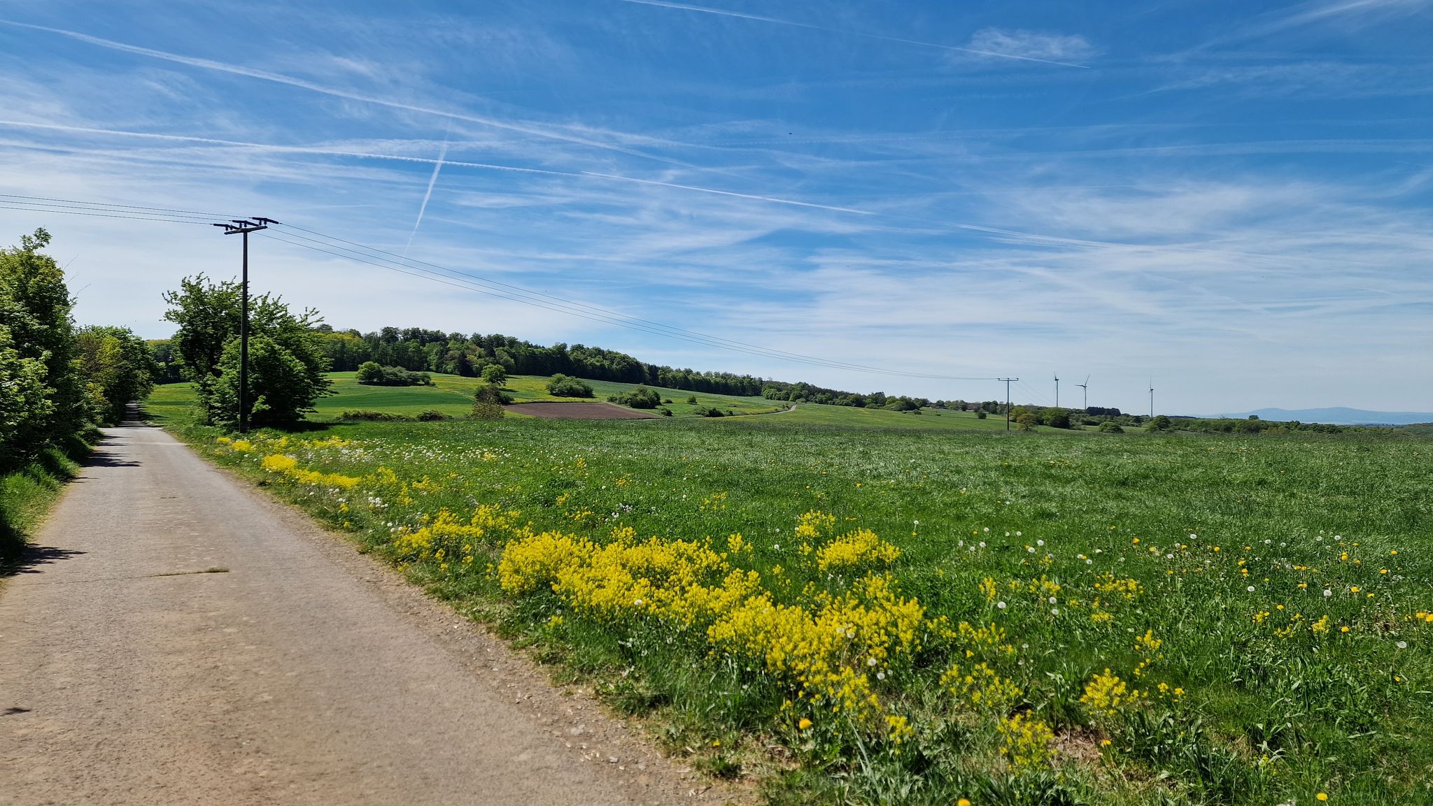 Auf dem Bettenradweg