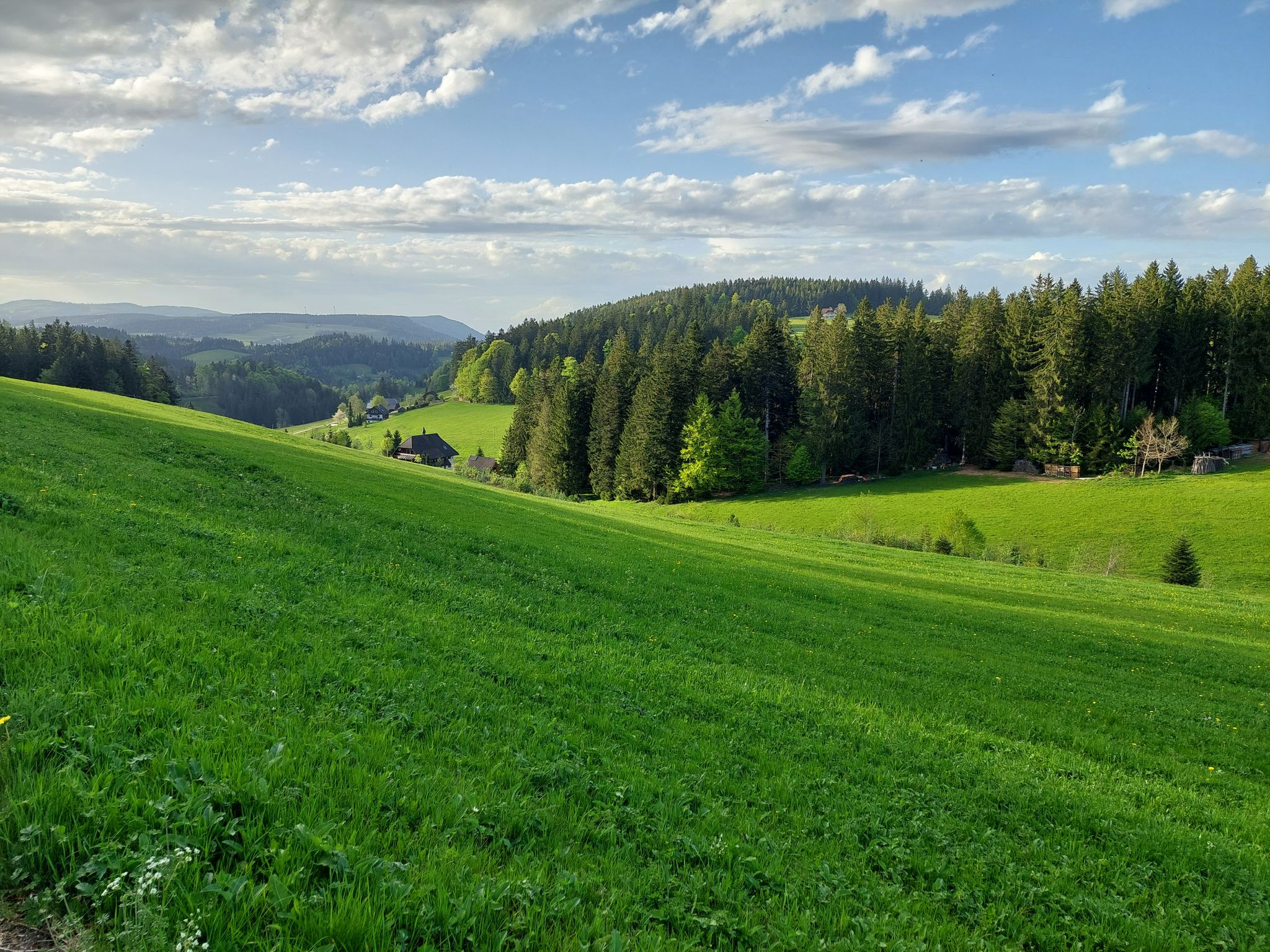 Talblick vom Lehwaldweg