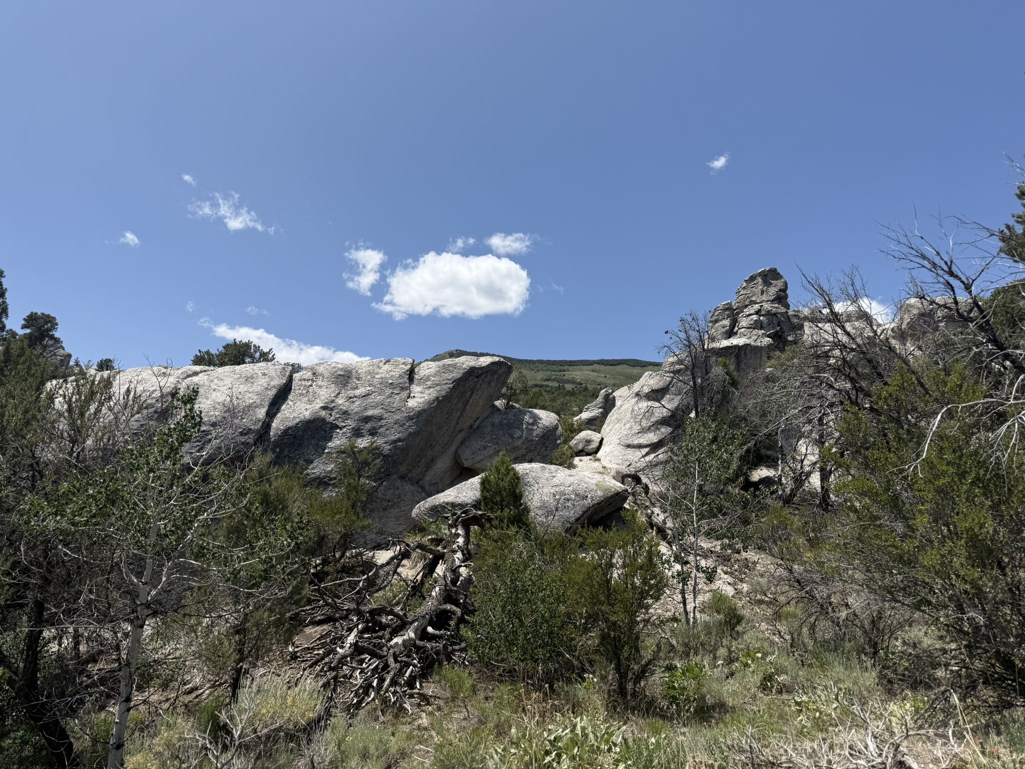 Rocky landscape with large boulders and green trees under a blue sky. - Parking Lot Rock loop from City of Rocks National Reserve