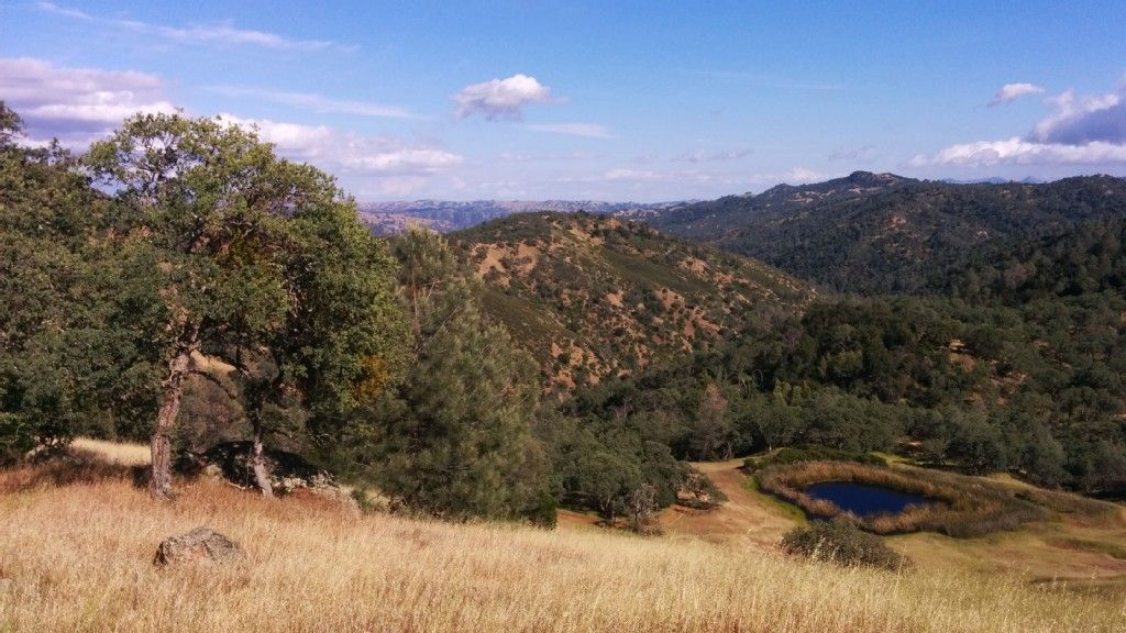Golden hills and green trees overlook a small pond on a sunny day. - Pacheco Falls Trail