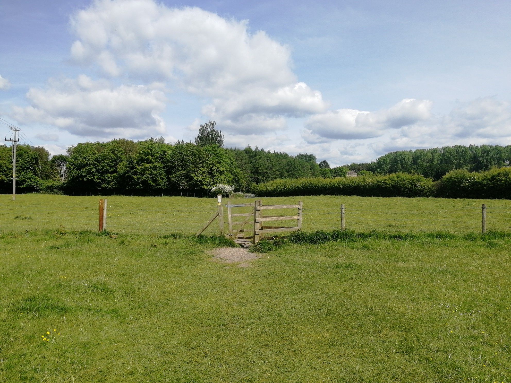Whatcombe fields