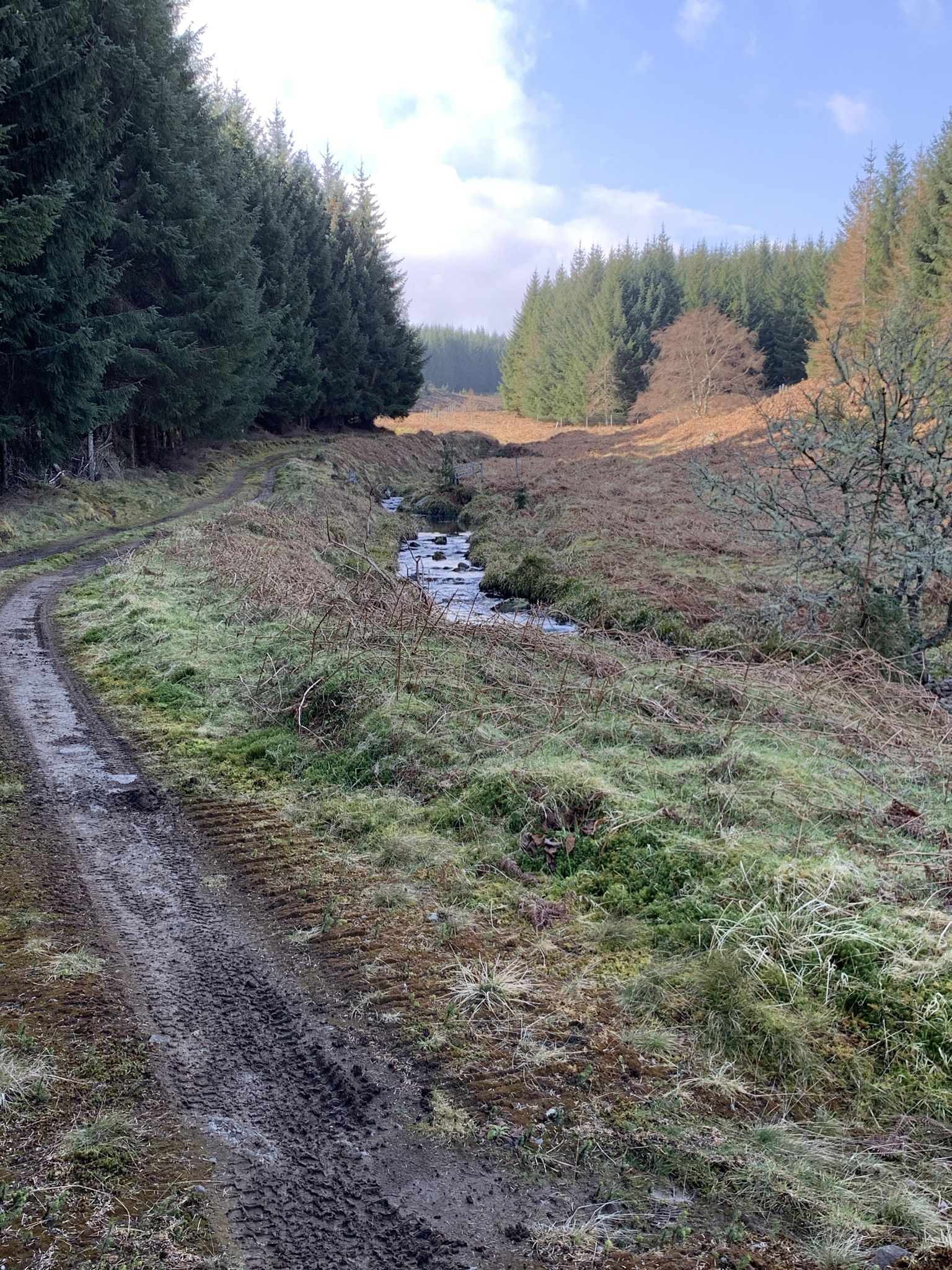 small stream 