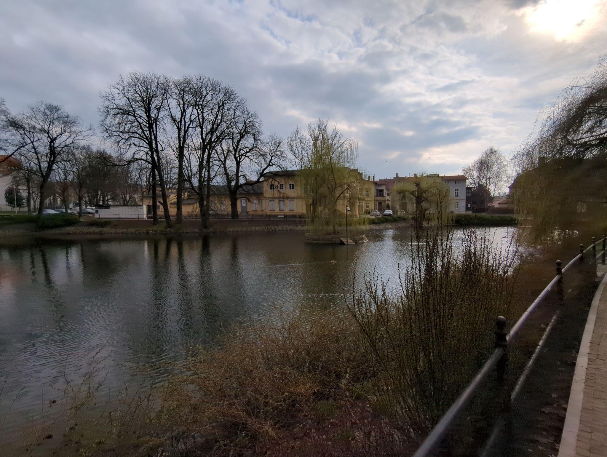 Staw Miewski