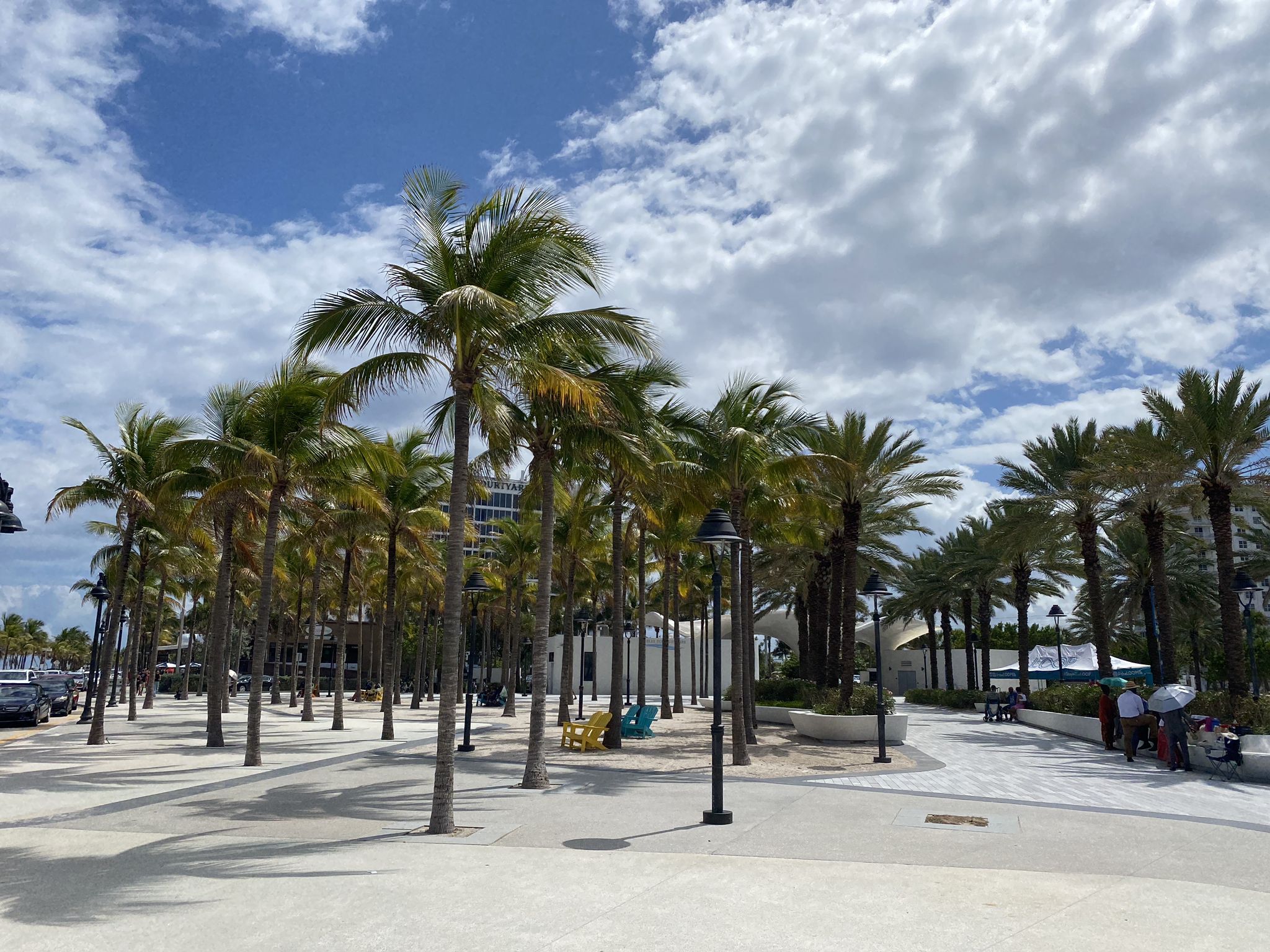 Palm trees line a paved area with distant buildings under a cloudy sky. - Las Olas Beach loop from Hugh Taylor Birch State Park