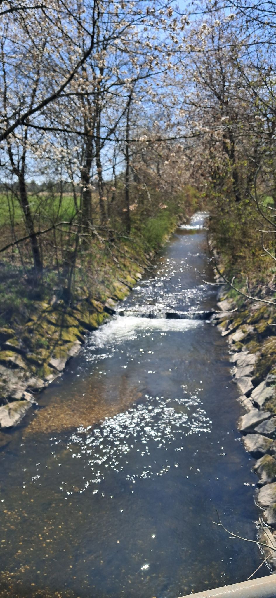Der  Moosbach