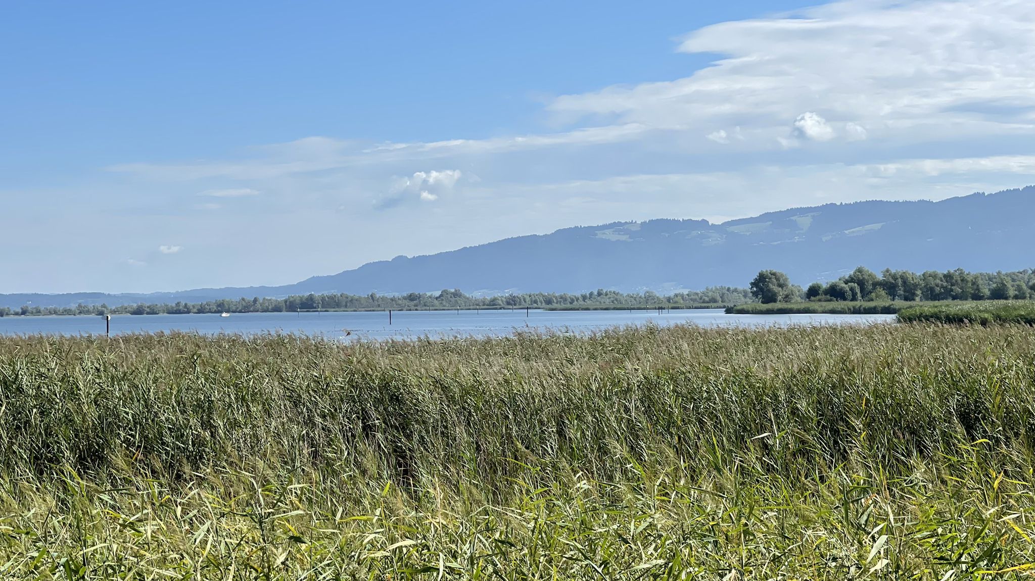 Blick auf das Rheindelta.