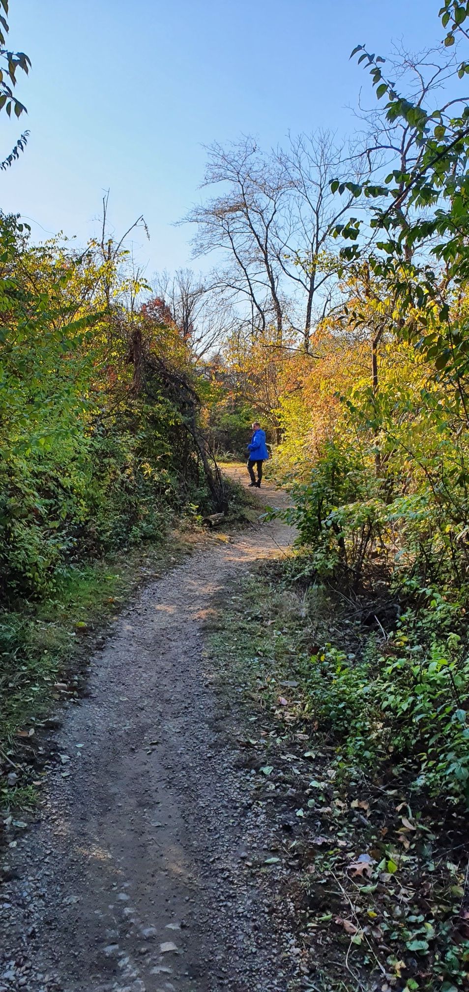 A person in blue walks a sunlit dirt path through autumn woods. - Maple Lake – Stonehouse loop from Willow Springs Woods