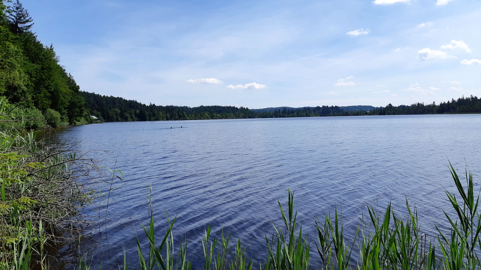 Kirchsee