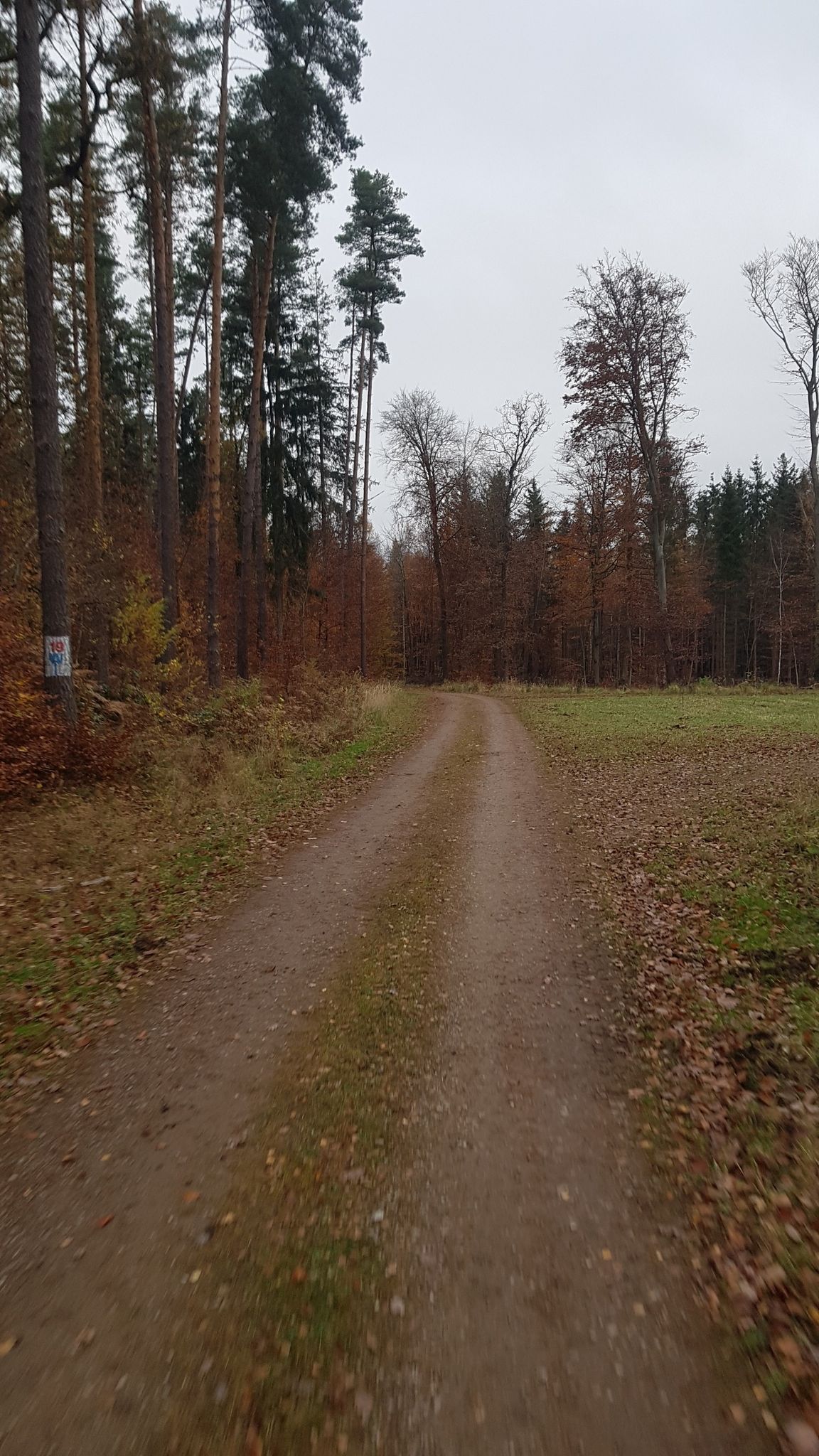 z górki w stronę Nasutowa