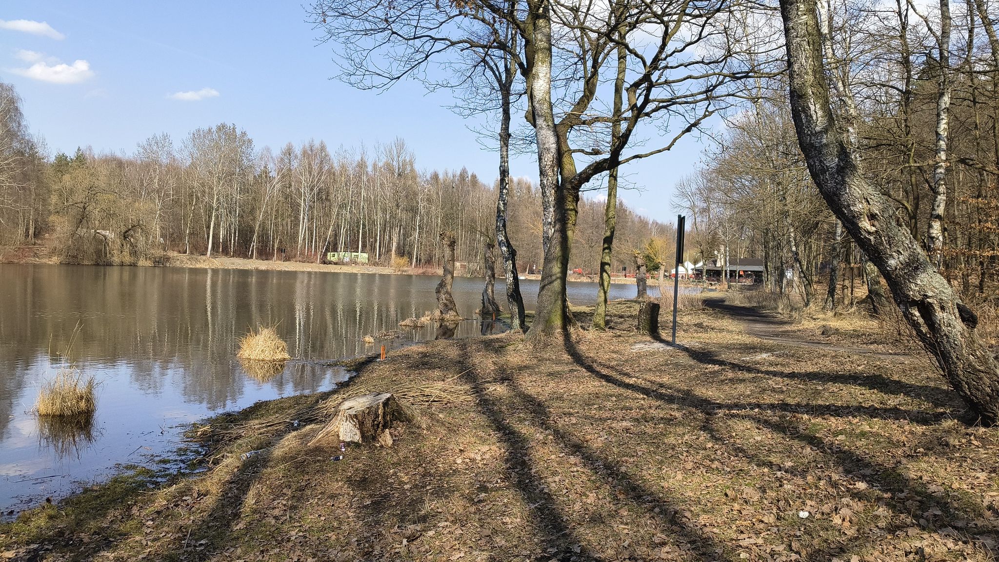 staw Janina