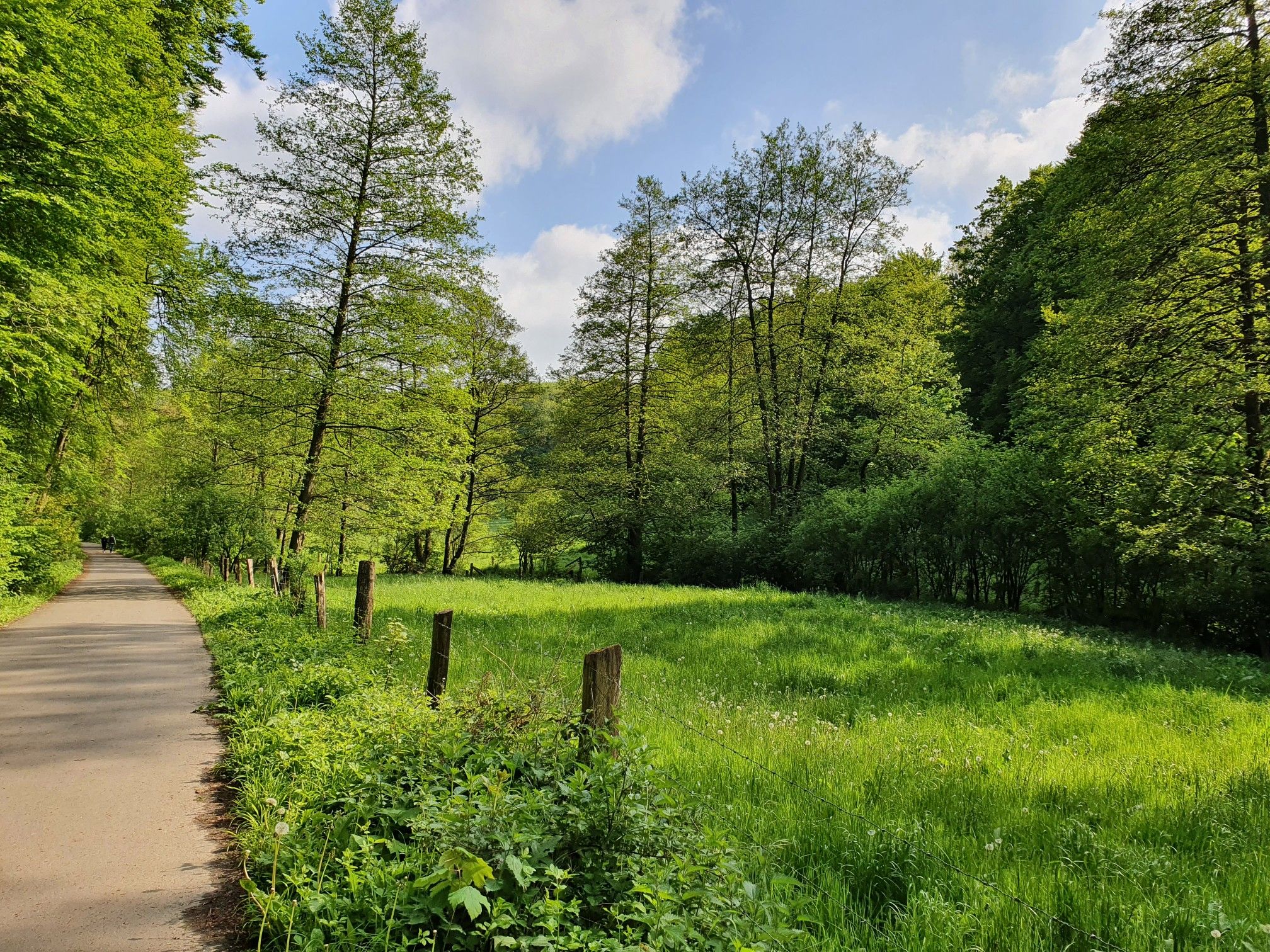 Blutbachtal