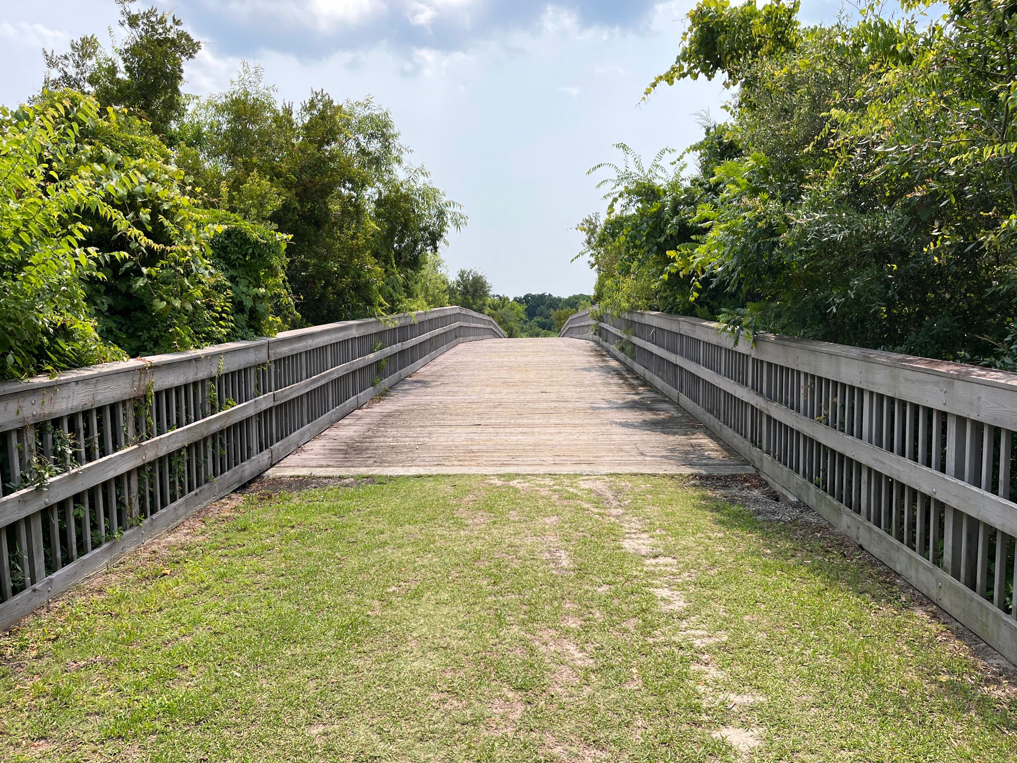 Wooden bridge with railings over a grassy area, surrounded by green trees. - Egans Creek Greenway