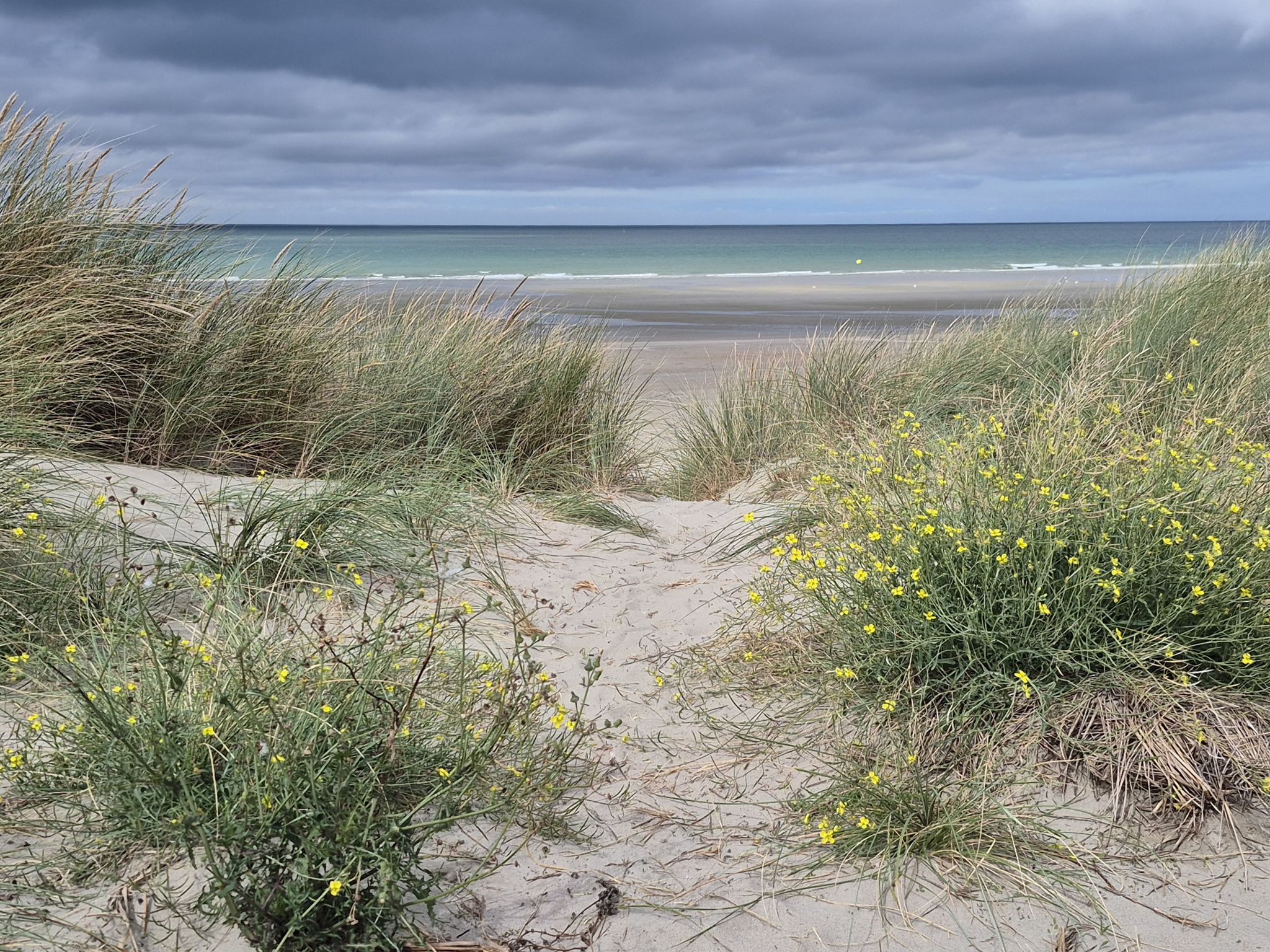 Strand von Leffrinckoucke