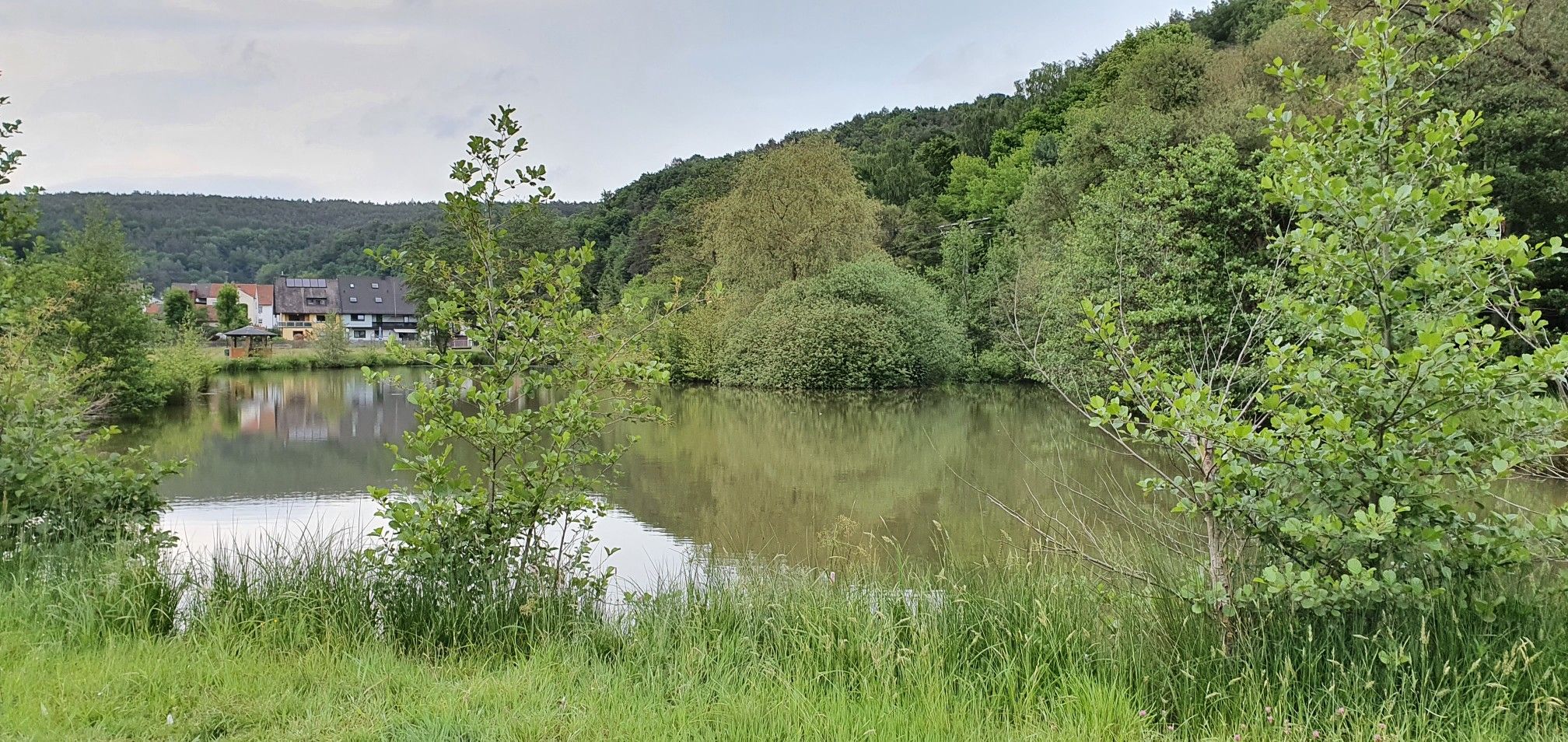 Kurparksee Heimbuchenthal