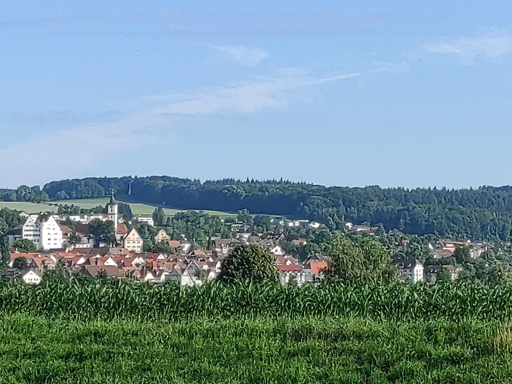 Aulendorf vom Radweg aus