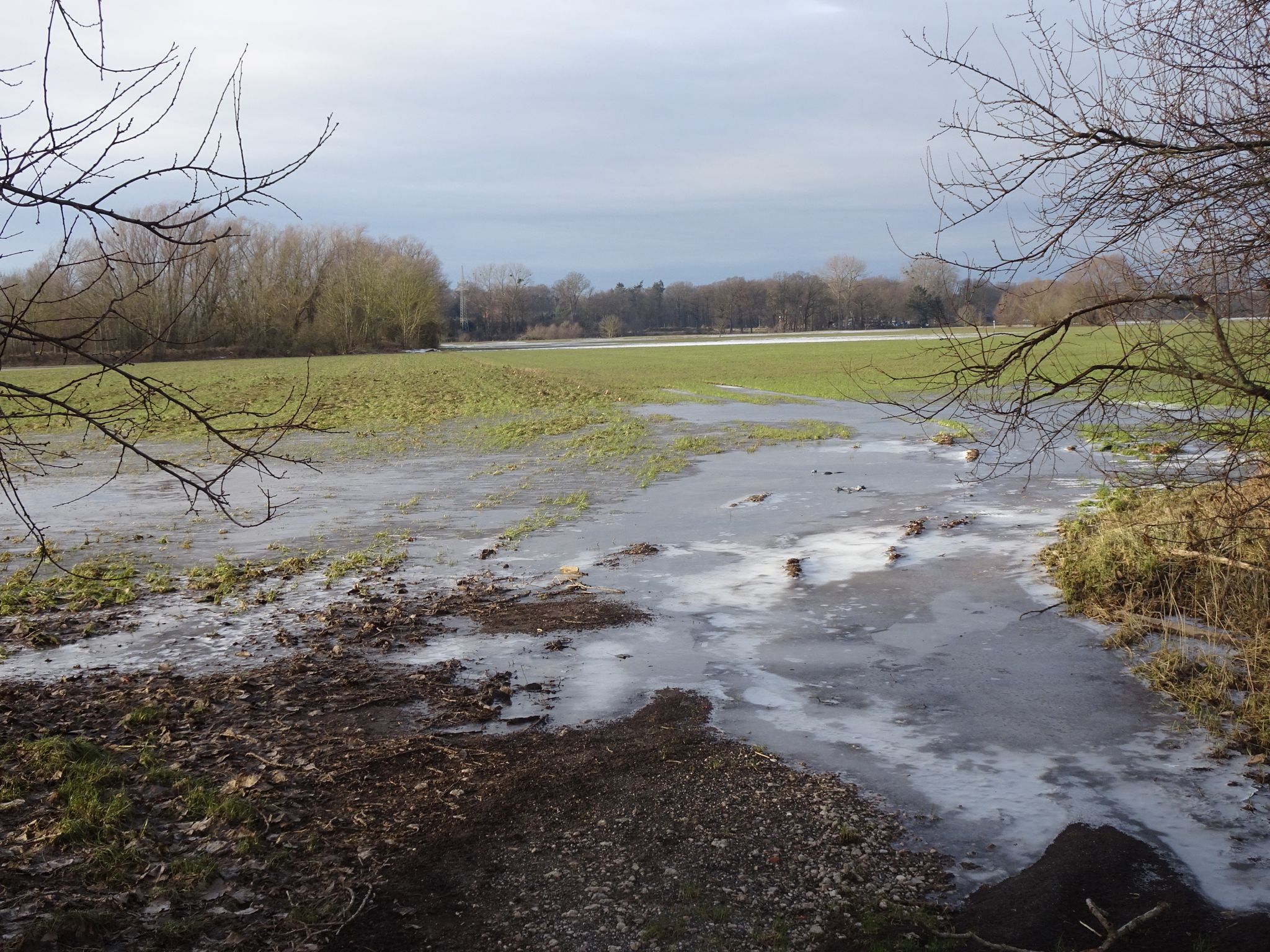 Blick Richtung Angelteich