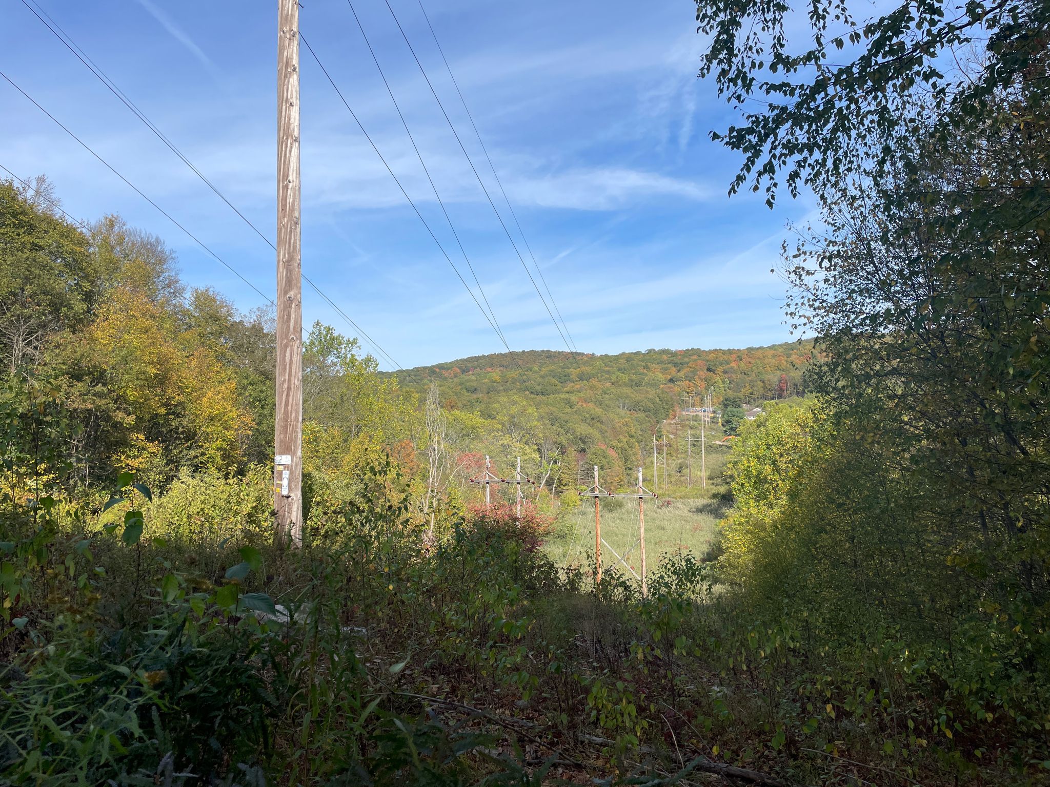 Utility pole and power lines cross a forested valley under a bright sky. - Monks Trail Loop