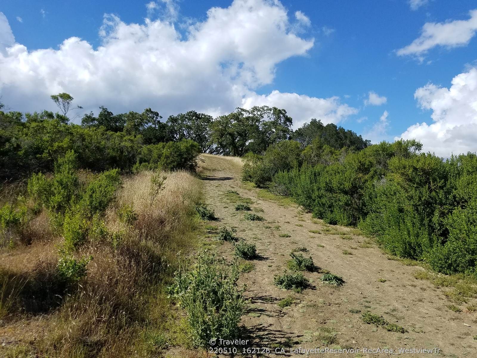 A dirt path ascends through green and dry brush under a cloudy sky. - Lafayette Reservoir lookout loop from Orinda