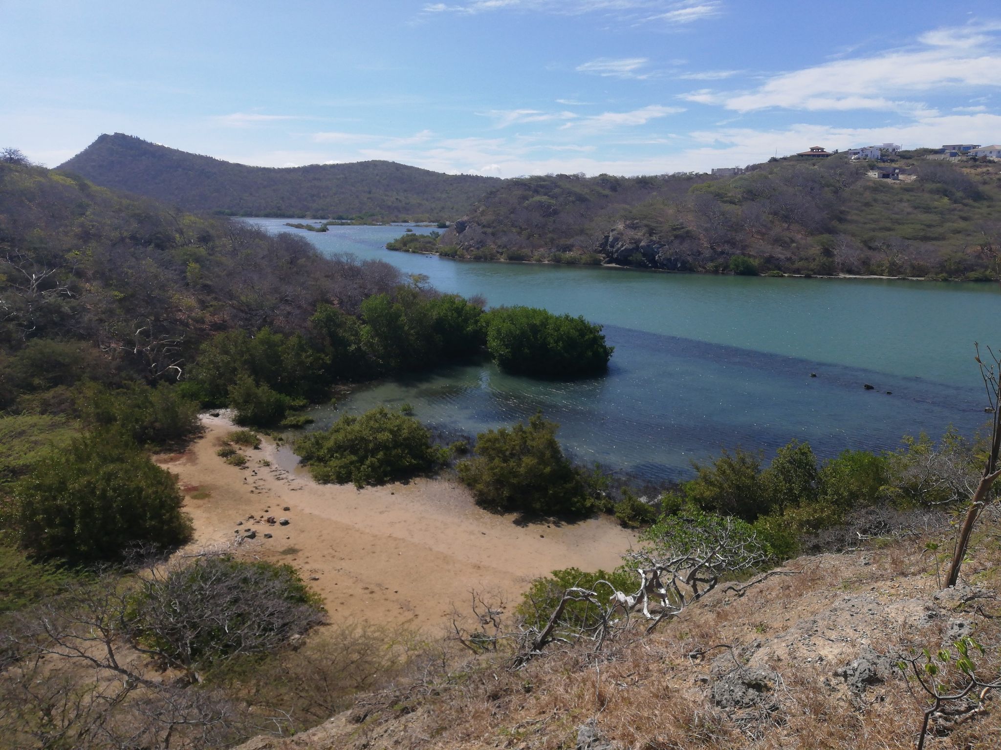 Salina