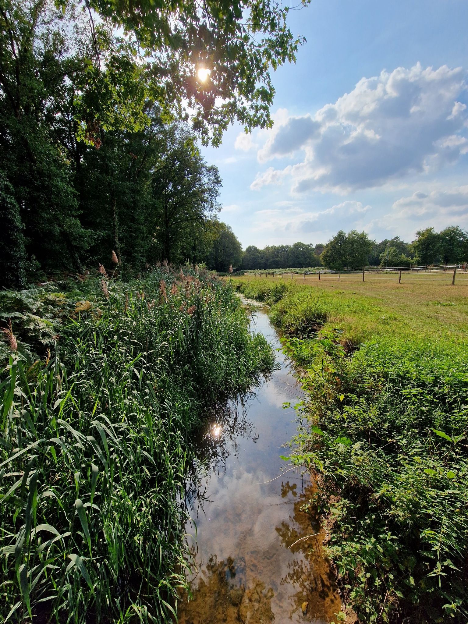Everlose Beek II