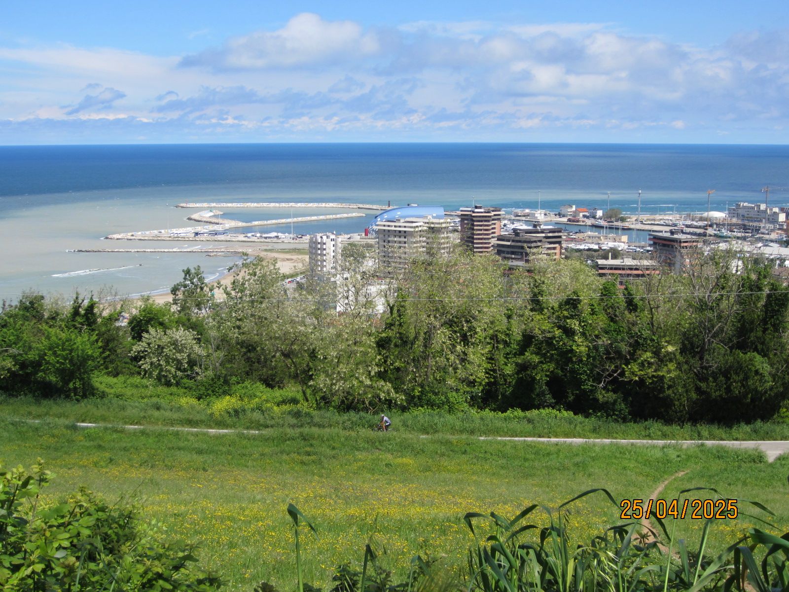 Pesaro