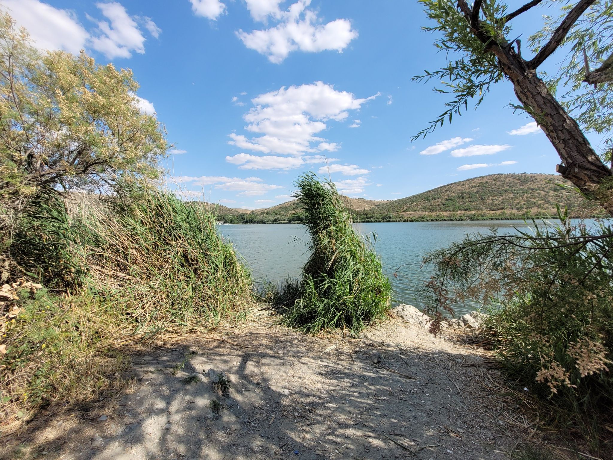 Lake view