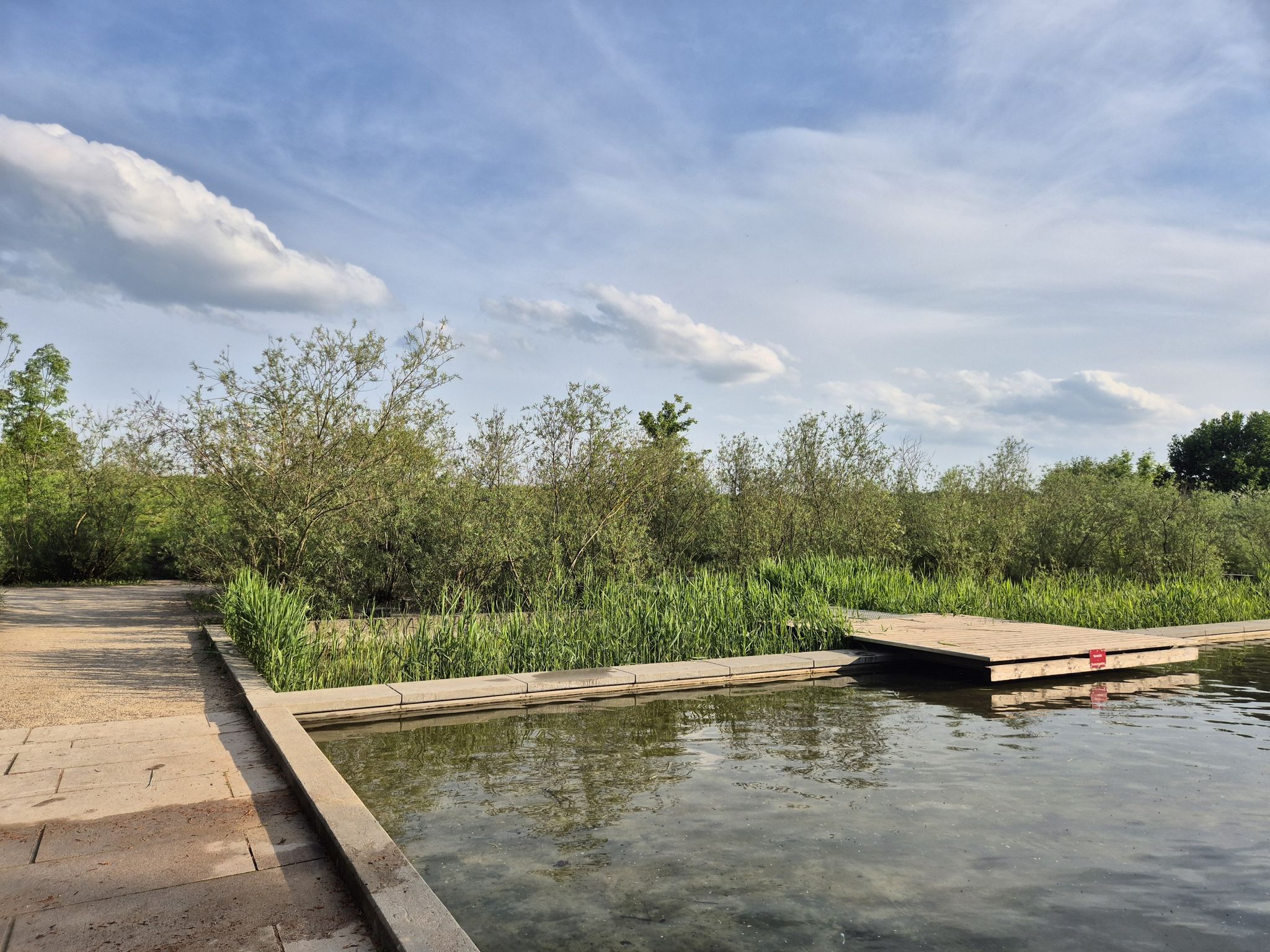 Wasserspielplatz mit nachgeschalteter Pflanzen -Kläranlage