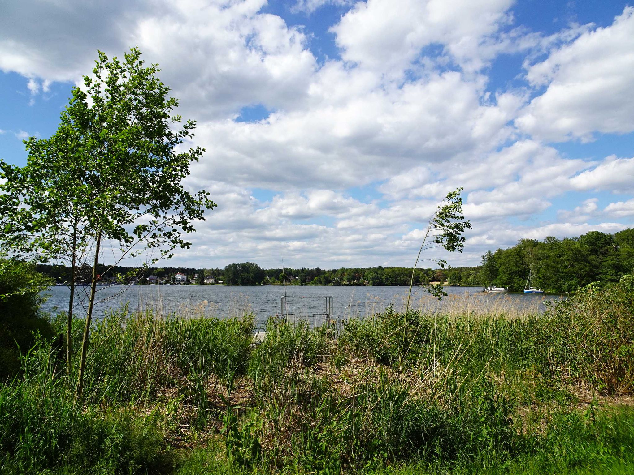 Blick auf den Werlsee