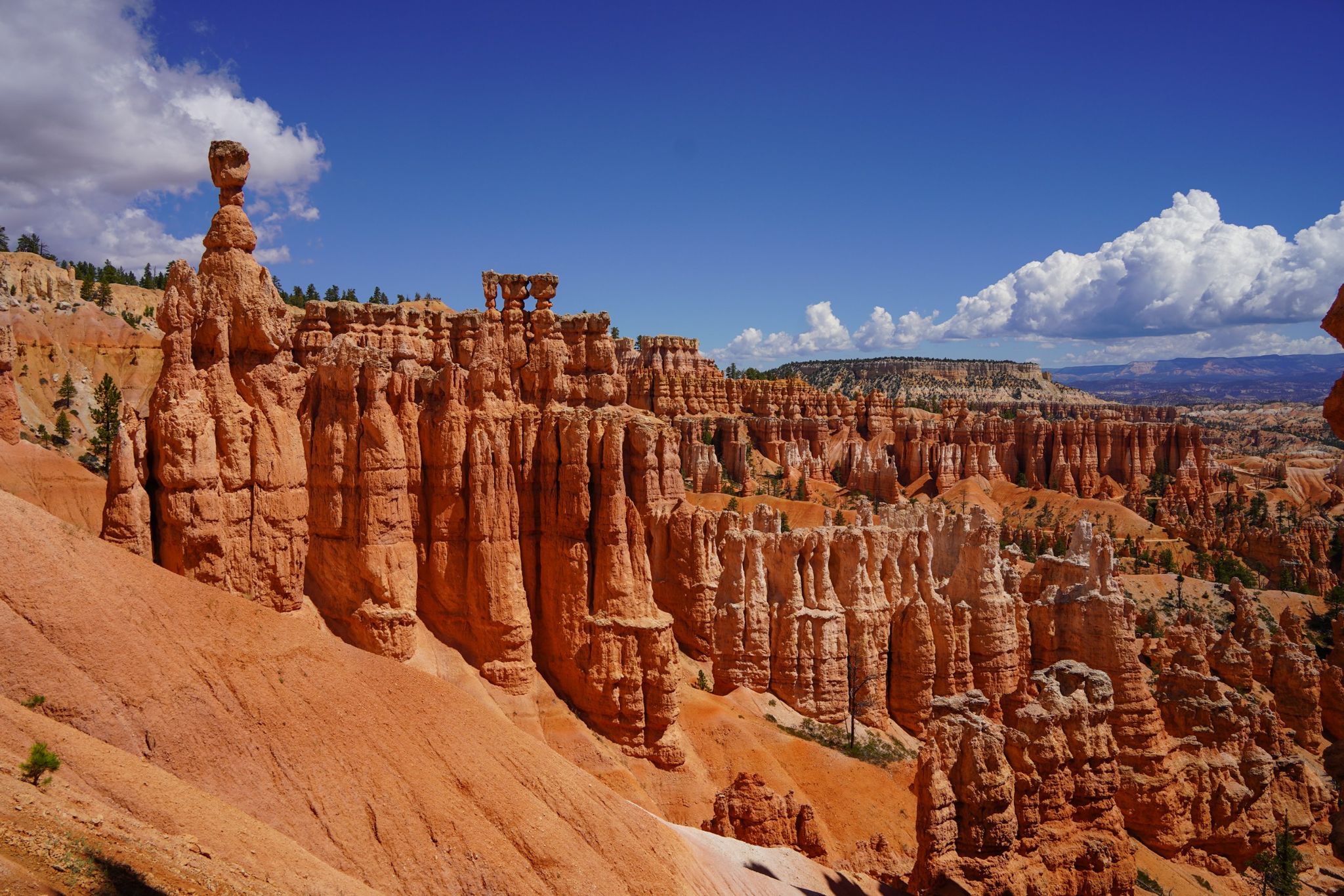 Towering orange rock formations, including a prominent hoodoo, under a bright blue sky. - Bryce Point to Sunset Point Trail