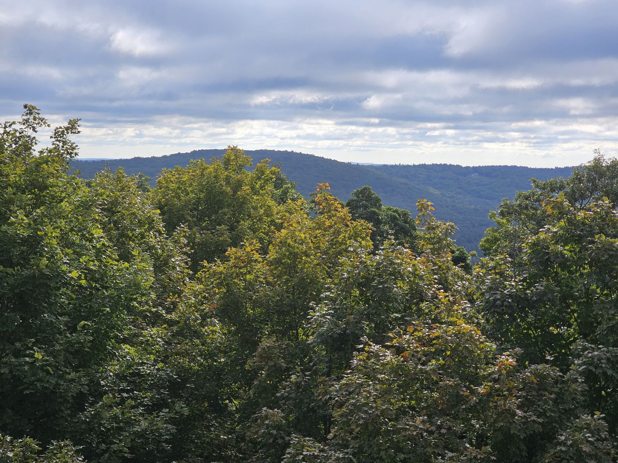 Overcast sky above a vast forest canopy and distant mountains. - World War I Memorial – Haystack Mountain Tower loop from Haystack Mountain State Park