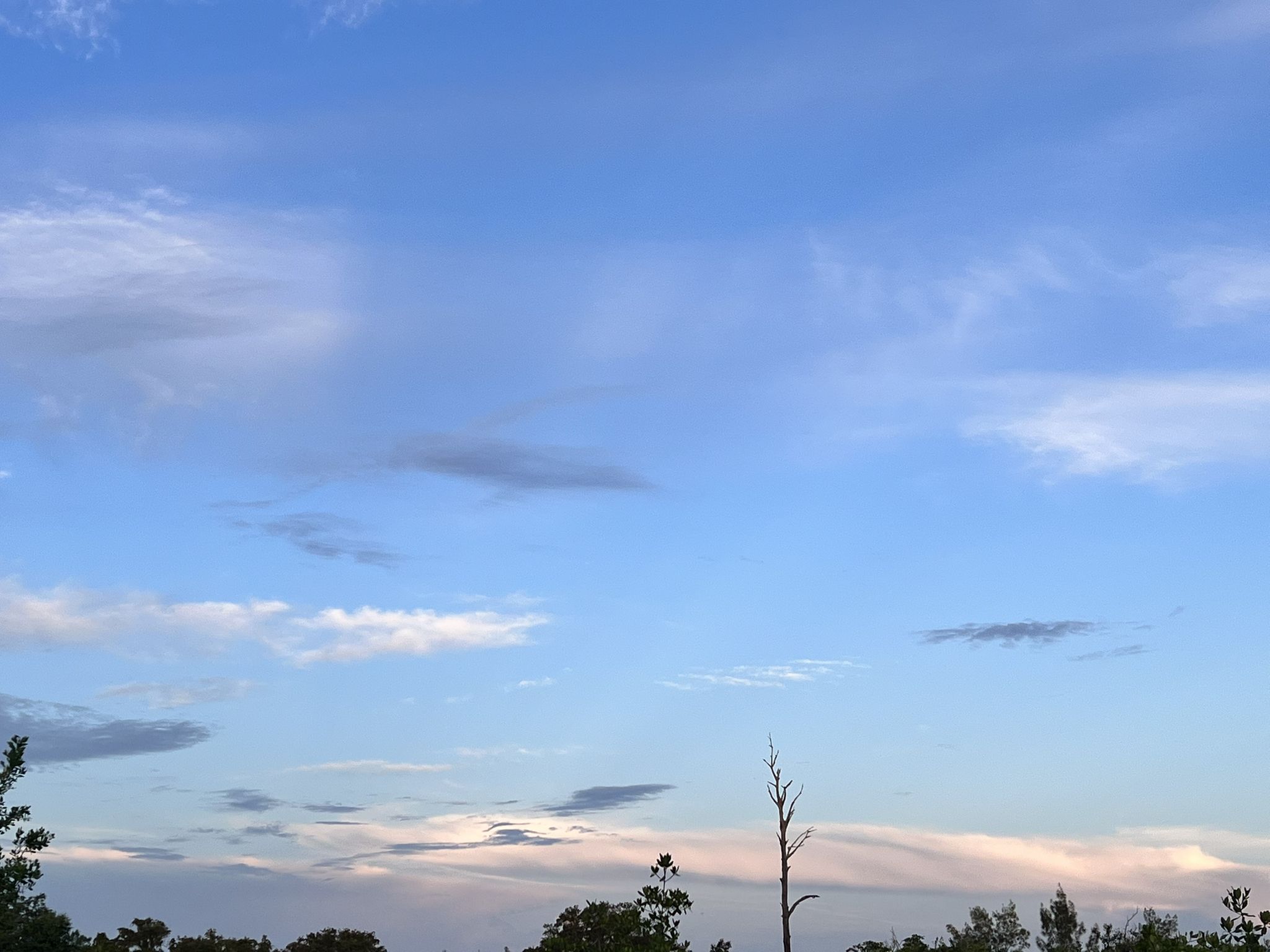 Blue sky with scattered clouds and tree silhouettes at dusk. - Skyway Trail and Lake Maggiore Loop