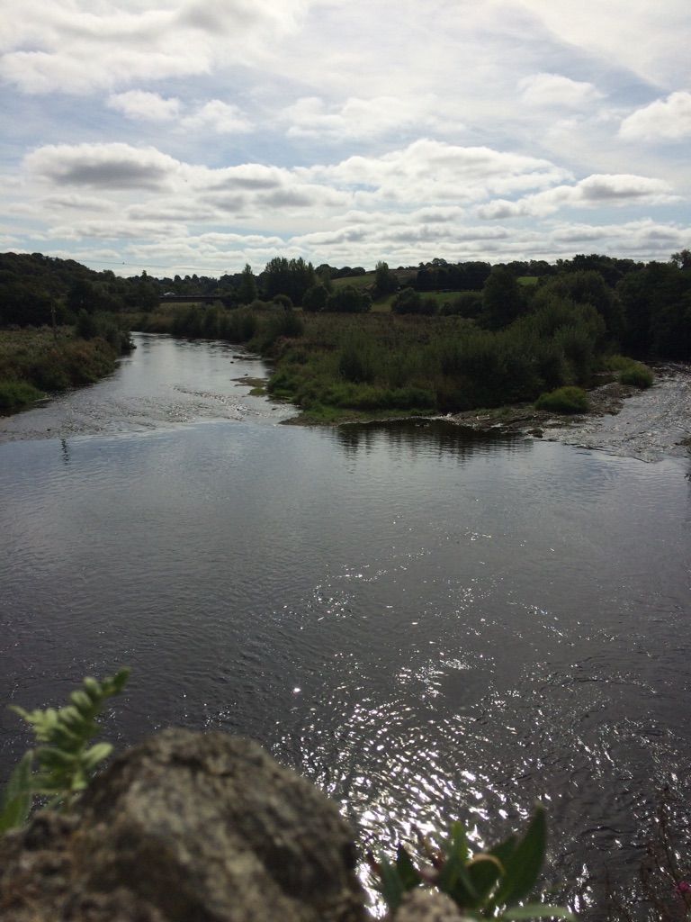 Slaney at Scarawalsh bridge