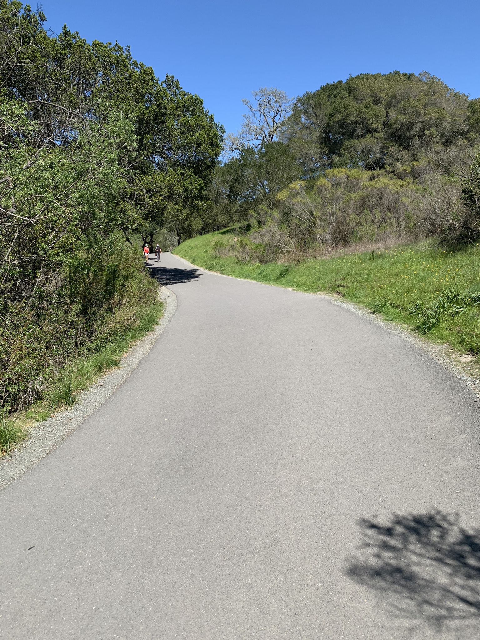Paved path curving uphill, bordered by green trees and bushes. - Lafayette Reservoir Rim, Big Oak, and Lakeside Nature Trail Loop