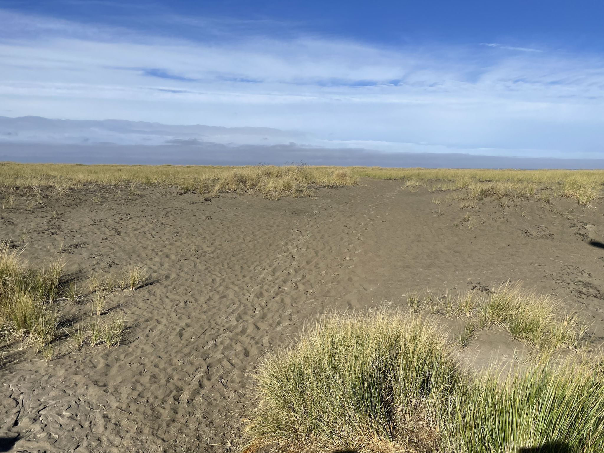 Wide view of sandy ground with sparse grass under a blue sky. - Seaside Beach - Promenade – Seaside Beach  Promenade loop from Seaside