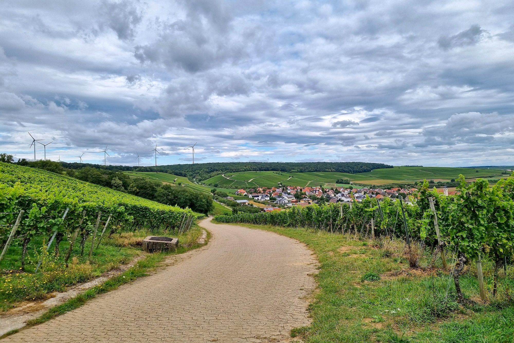 Weinberg-Downhill