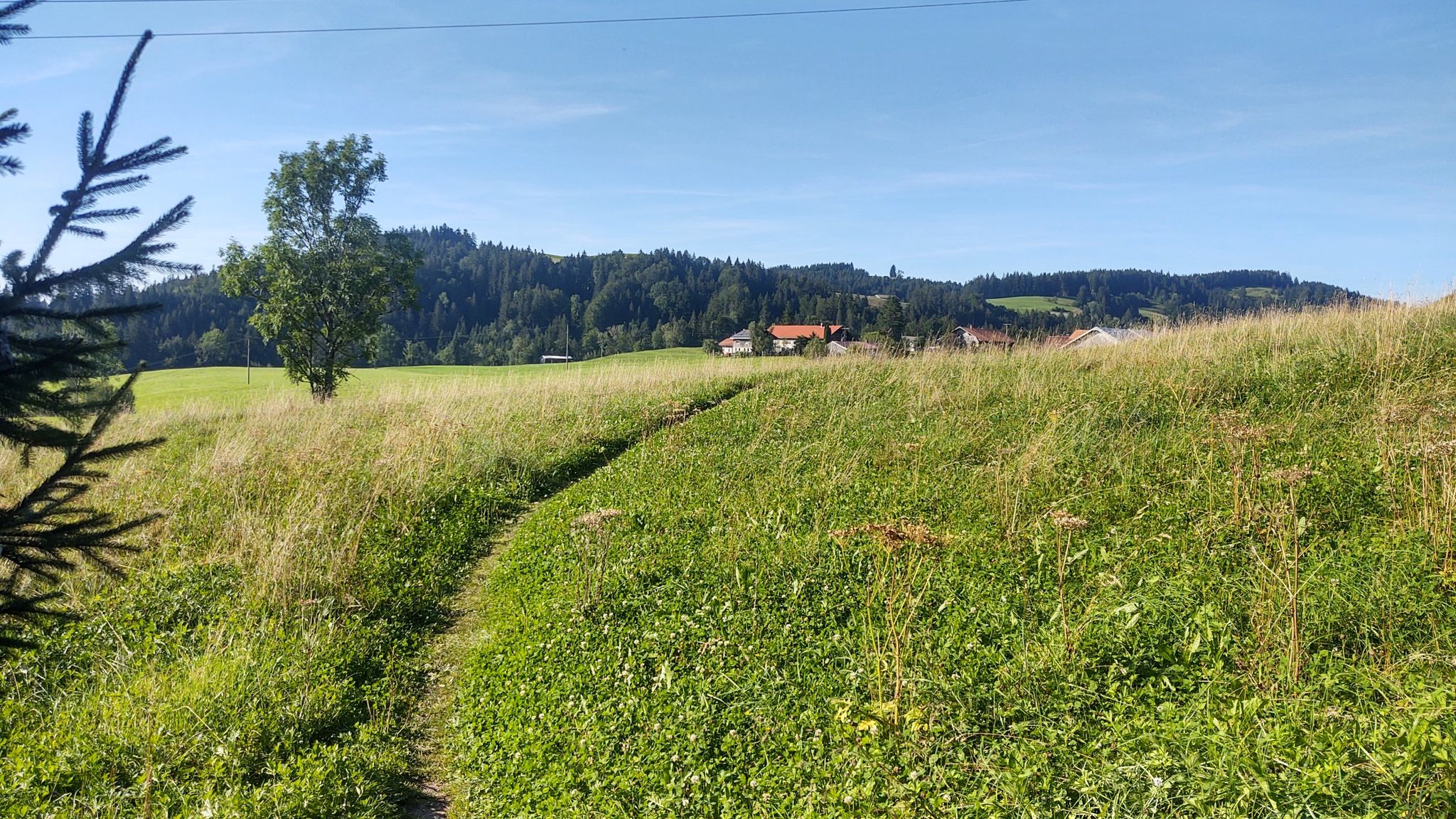noch ein paar Höhenmeter und ich bin zurück am Auto
