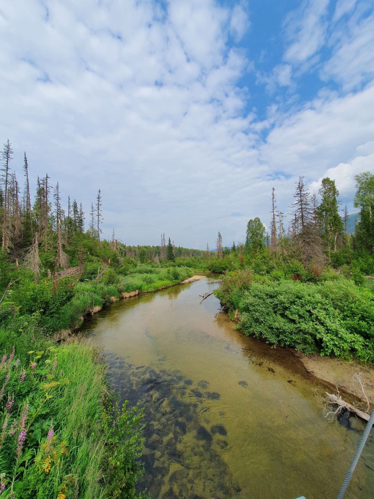 A clear river flows through a lush green forest under a partly cloudy sky. - K'esugi Ridge Trail