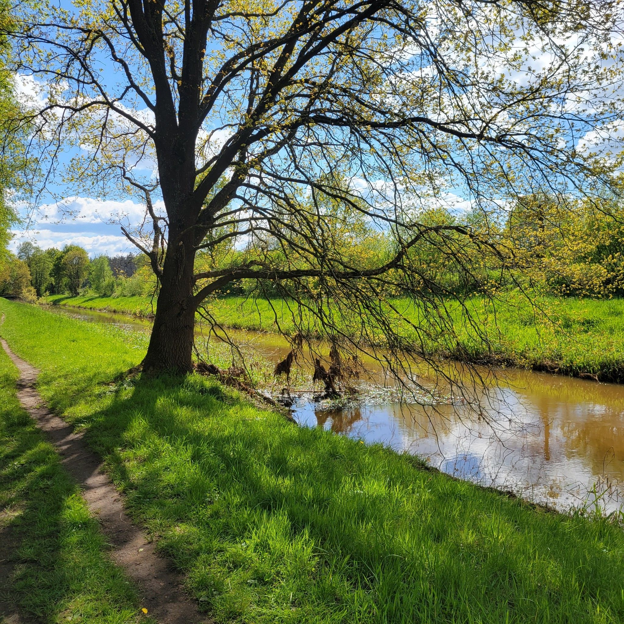 Burgdorfer Aue mit sichtbaren Hochwasserresten