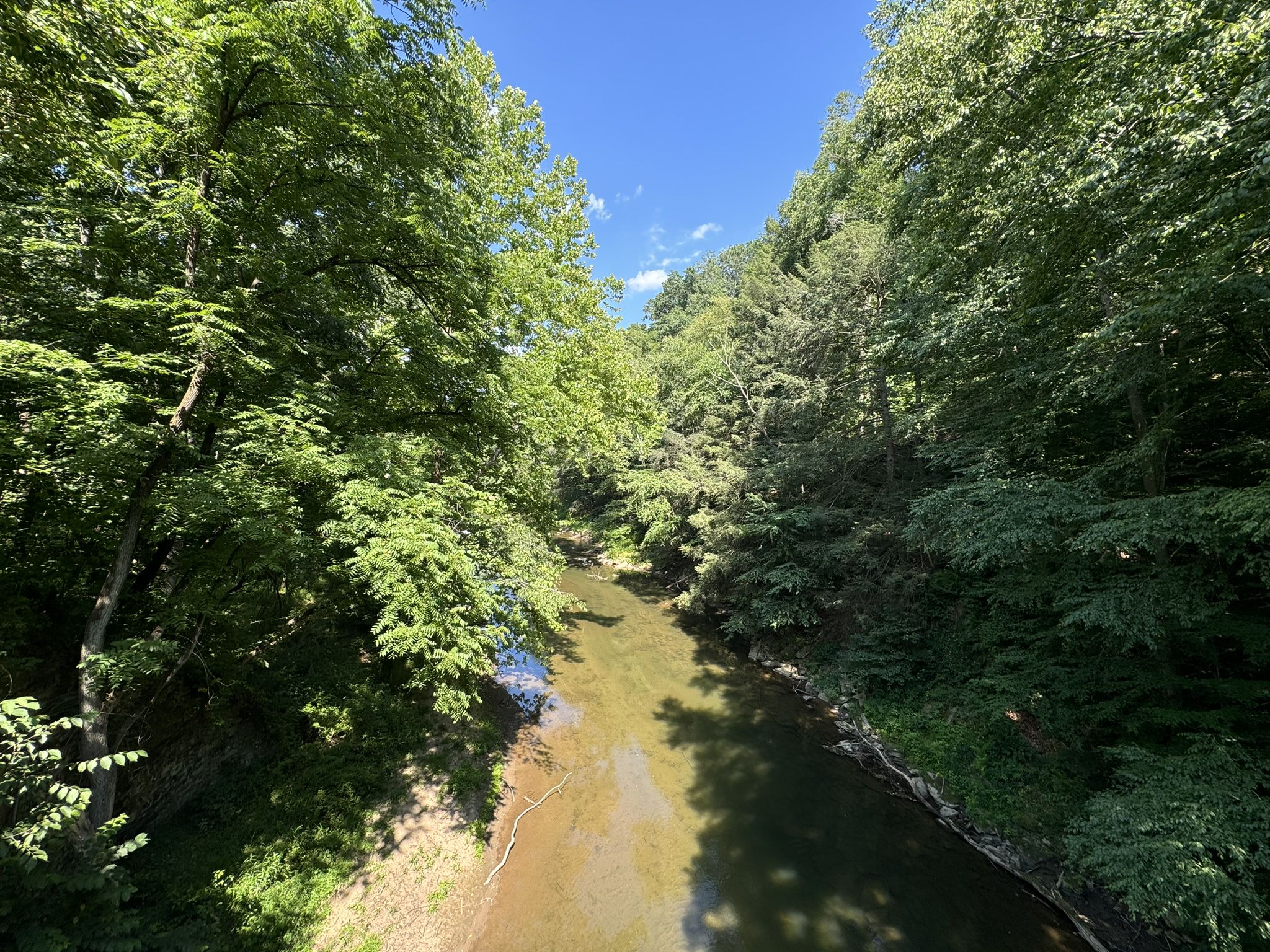 A clear river flows through a dense, green forest under a bright blue sky. - Monkton Train Station – Sparks Bank Nature Center loop from Monkton
