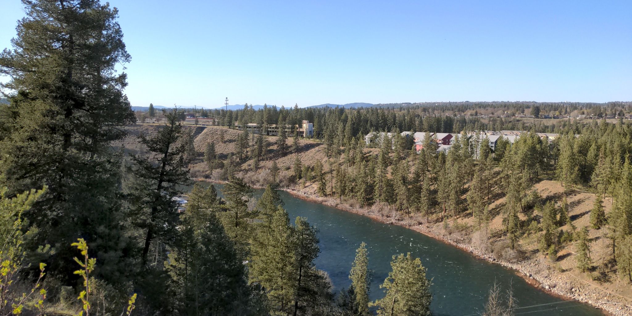 River in a deep forested canyon with distant buildings under clear skies. - Views of Spokane River loop from Wilbur Trailhead