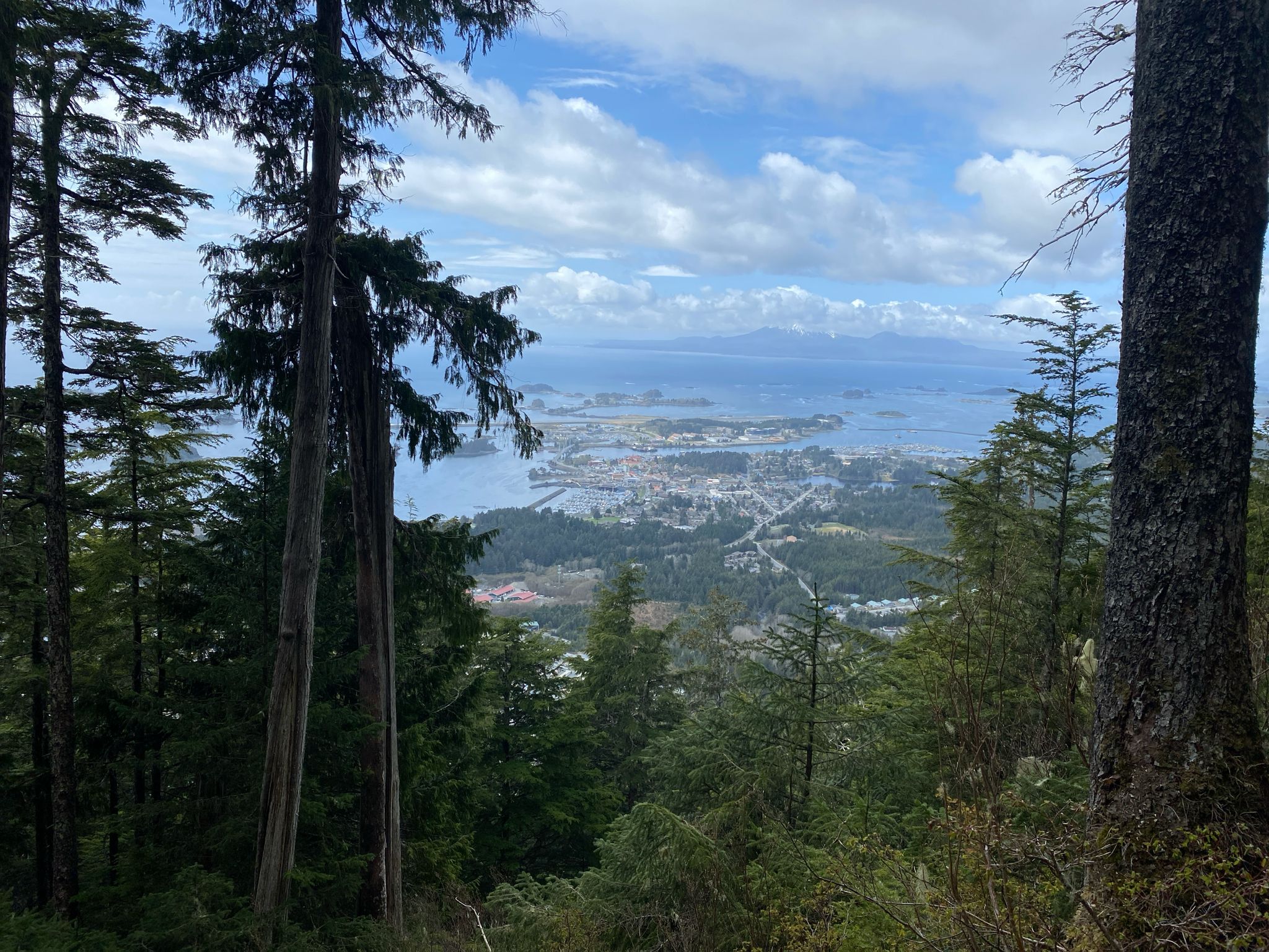 Overlook of a coastal town, water, and islands through green forest trees. - Mount Verstovia Trail