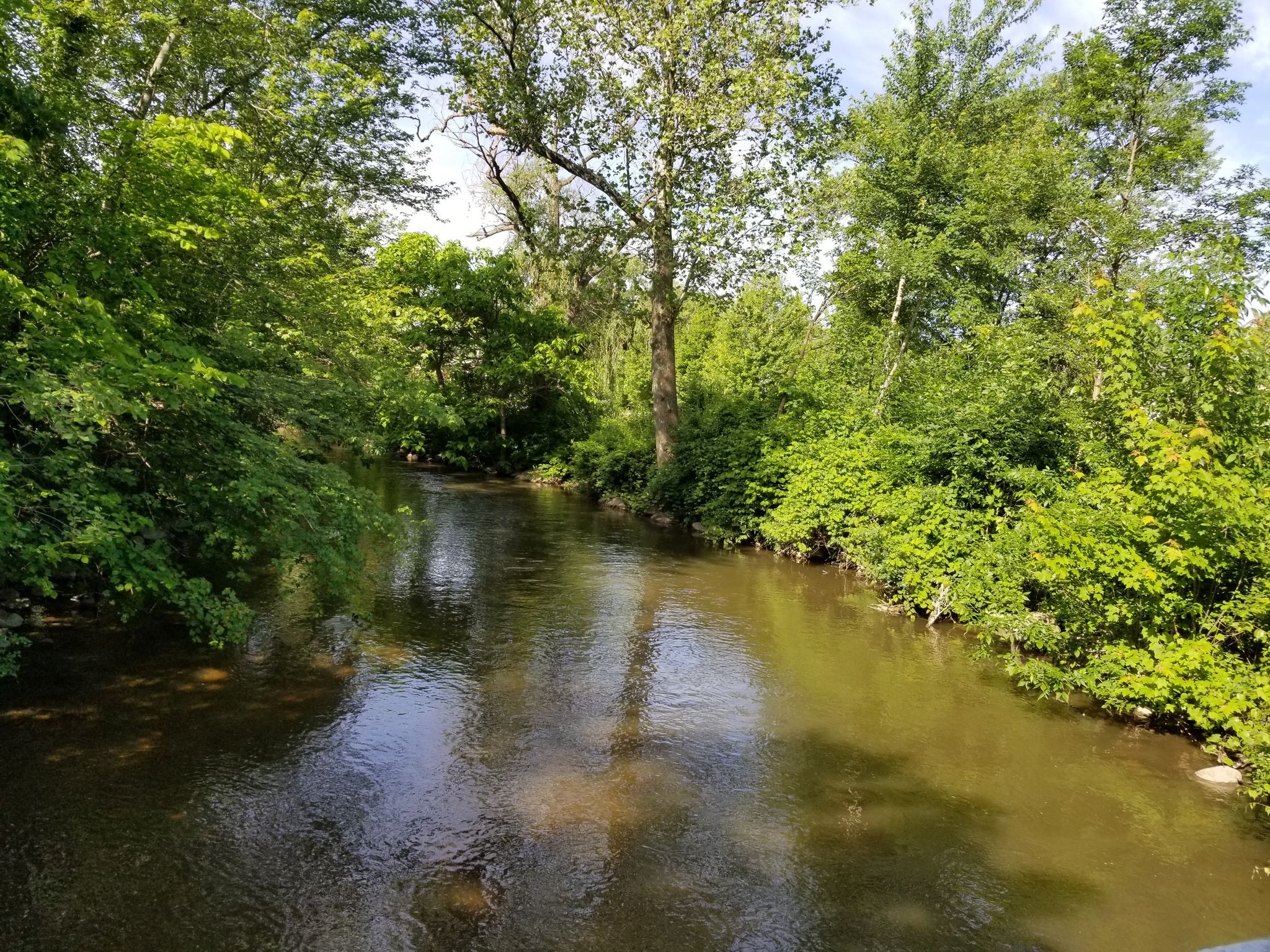 A calm river flows through a lush green forest on a sunny day. - Argo Dam Railway Bridge – Parker Mill County Park loop from Molin Nature Area