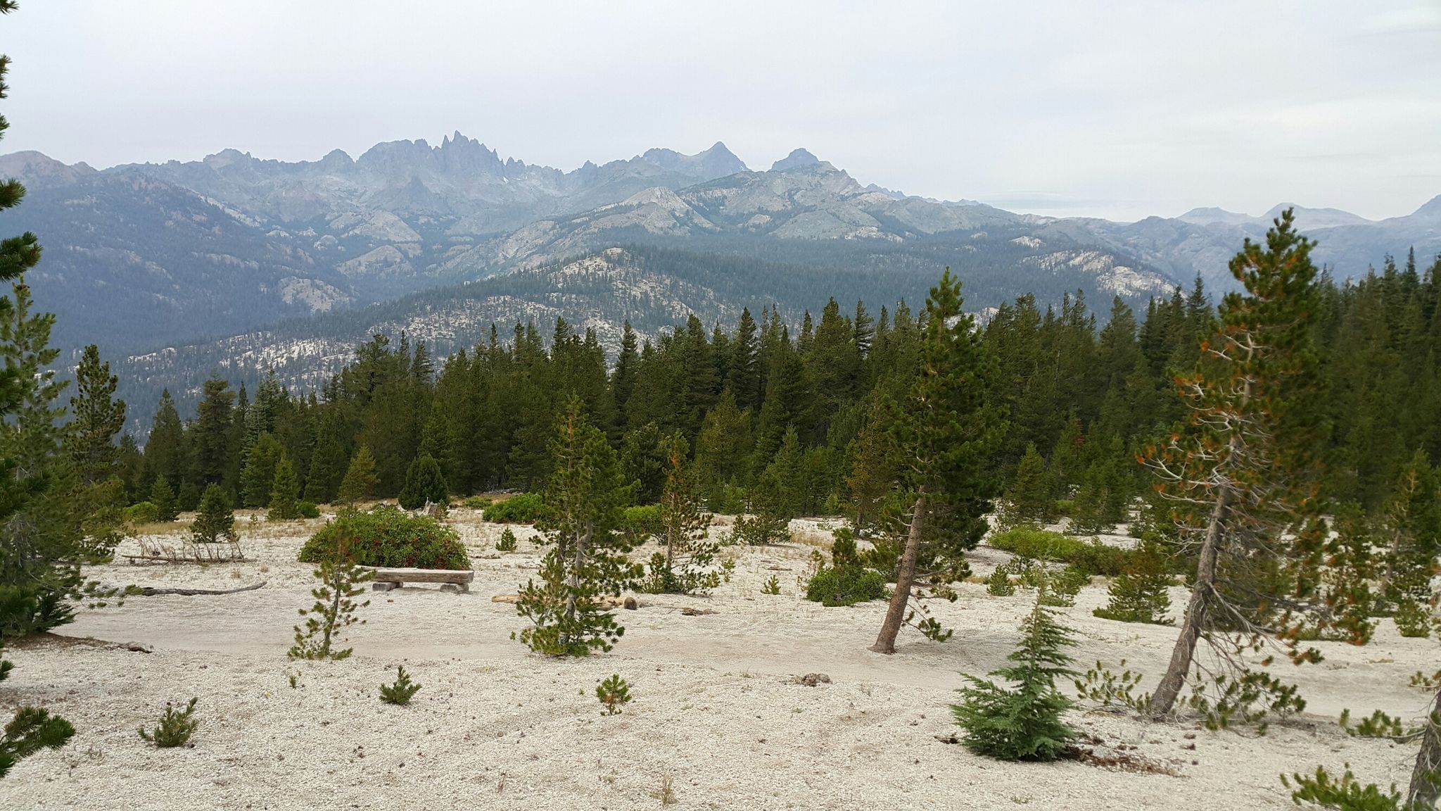 Overcast mountain range behind a dense forest and sandy foreground with sparse trees. - Mountain View and Beach Cruiser Loop