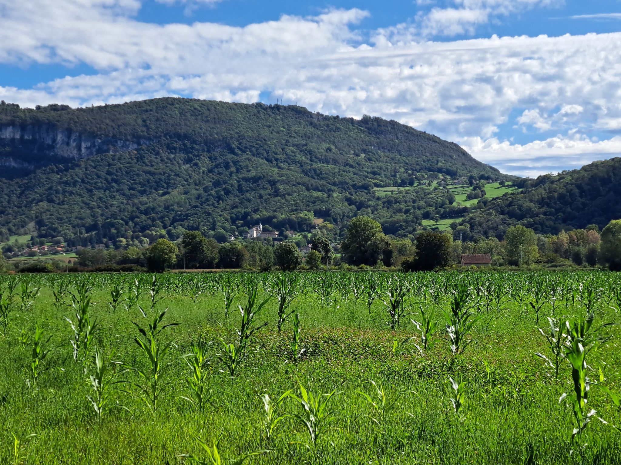 Mooi landschap.