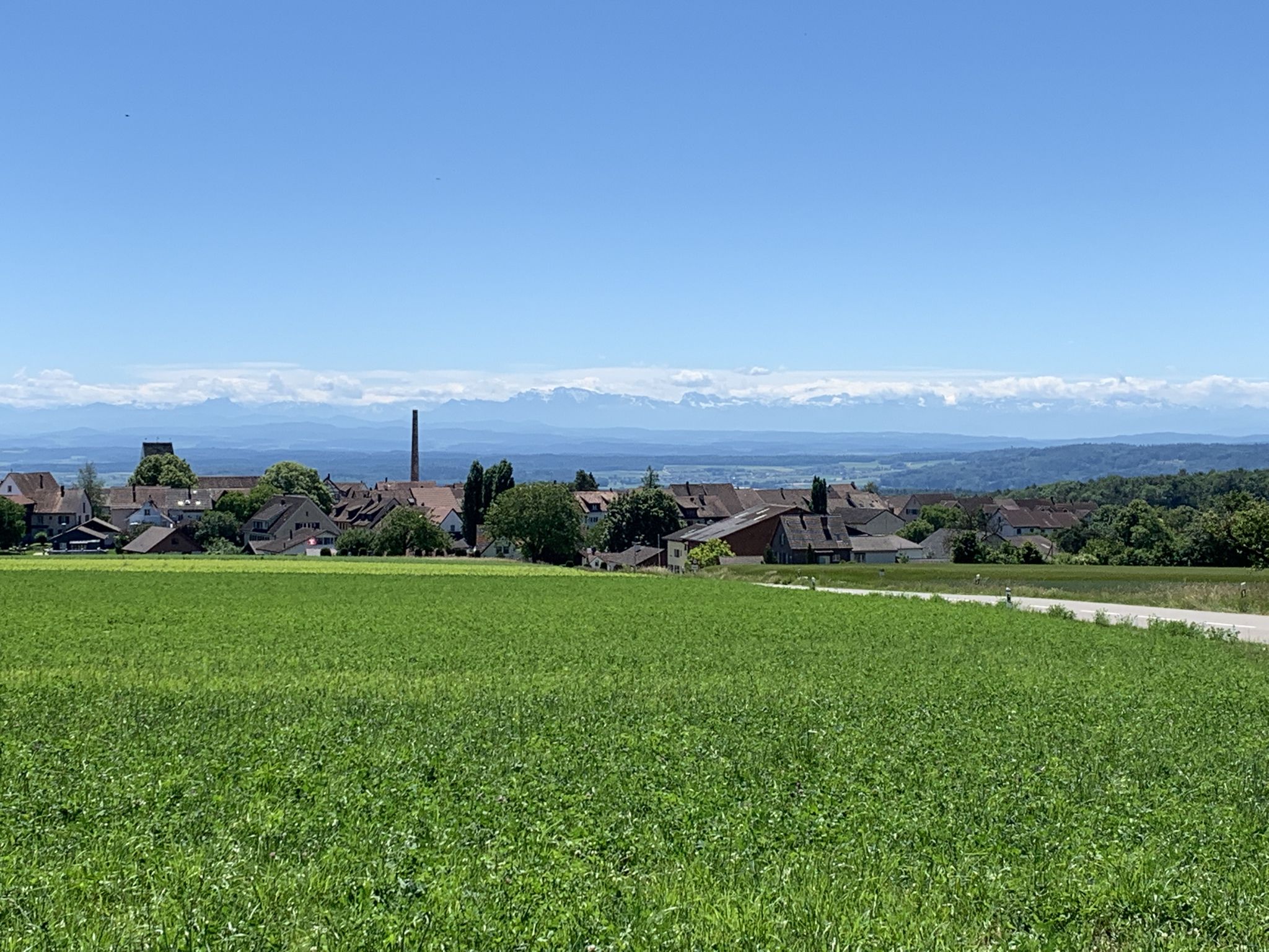 Lohn vor dem Alpenpanorama
